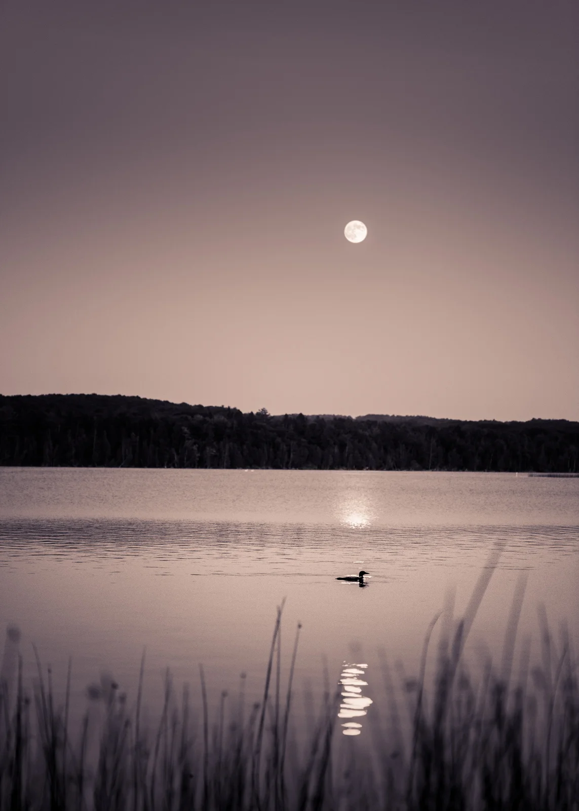 Intermediate Lake, Michigan
