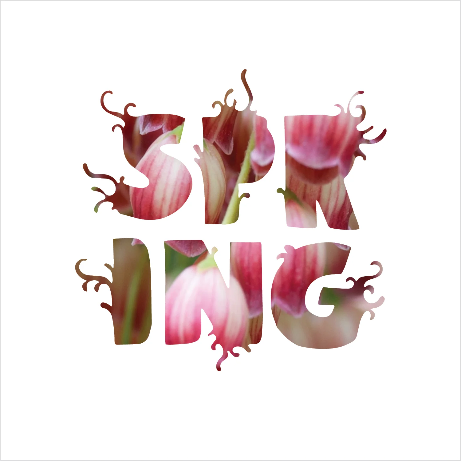 Album Covers2.jpg