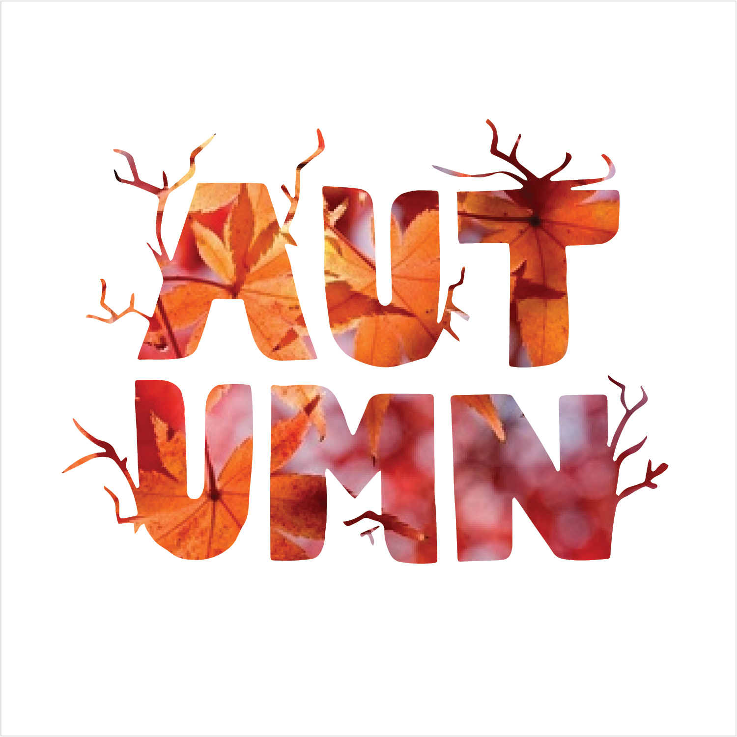 Album Covers4.jpg