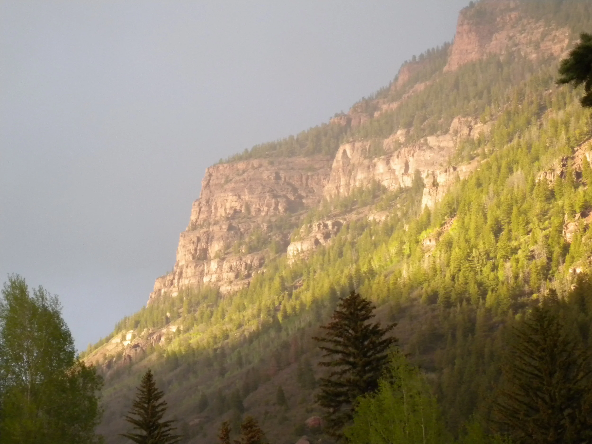 DSCN8071.JPG