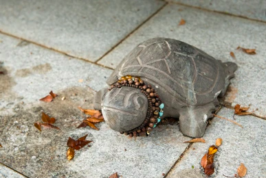 Screenshot 2021-03-04 at 18.04.02.png