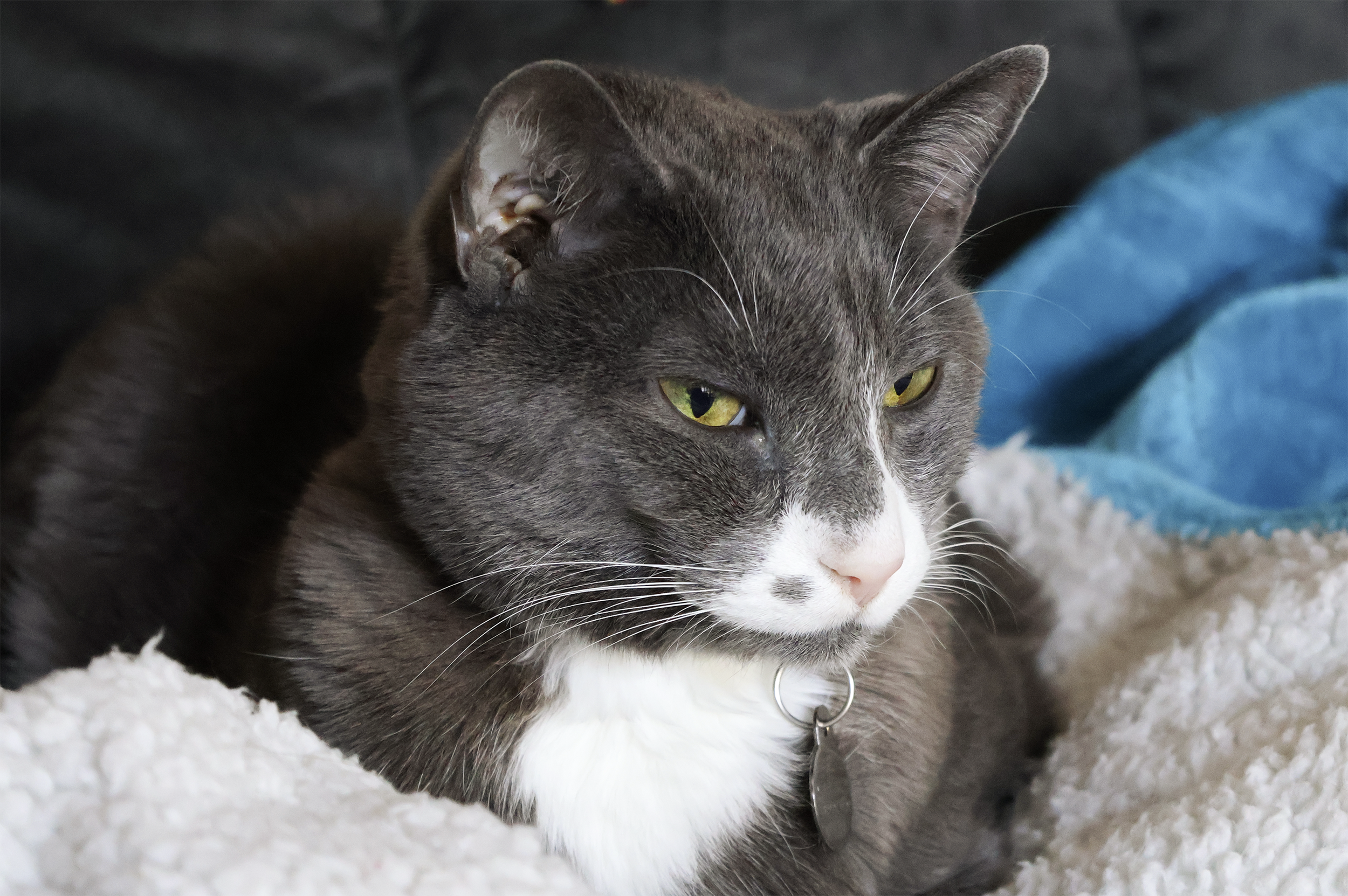 Screenshot 2026-01-07 at 7.02.37 PM.png