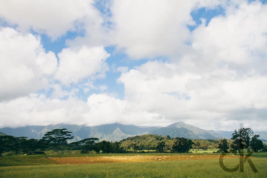 CK-Photo_blog_Kauai-25.jpg