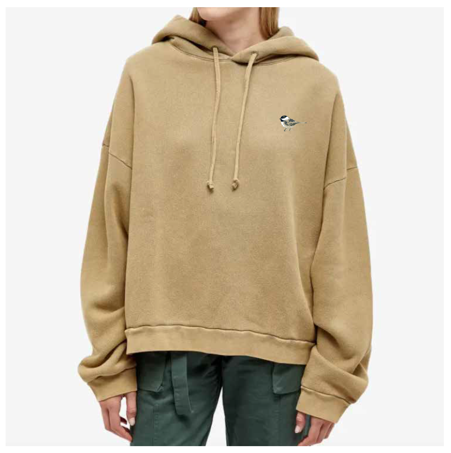 Screenshot 2026-01-29 at 12.02.03 PM.png