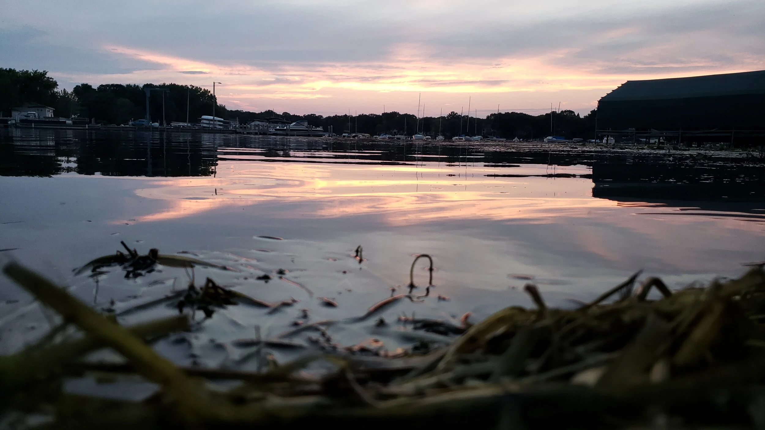 20200827_200144.jpg