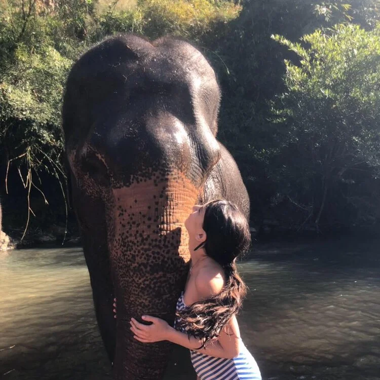 Name : Bar Ferents Hometown : Changmai, Thailand Undergraduate : Changmai school of photography Medical School : Changmai Veterinary school of medicine EM Interests : Jungle medicine What I do for fun : Entertain american tourists