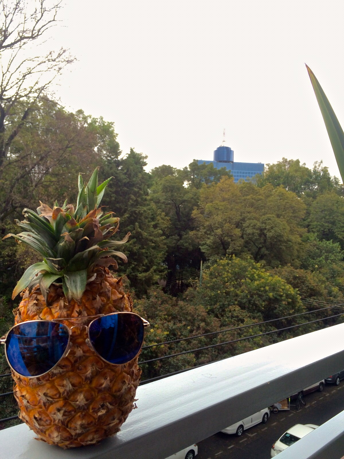 Anyways the building behind me is the World Trade Center of Mexico City. The fourth largest building in the city.