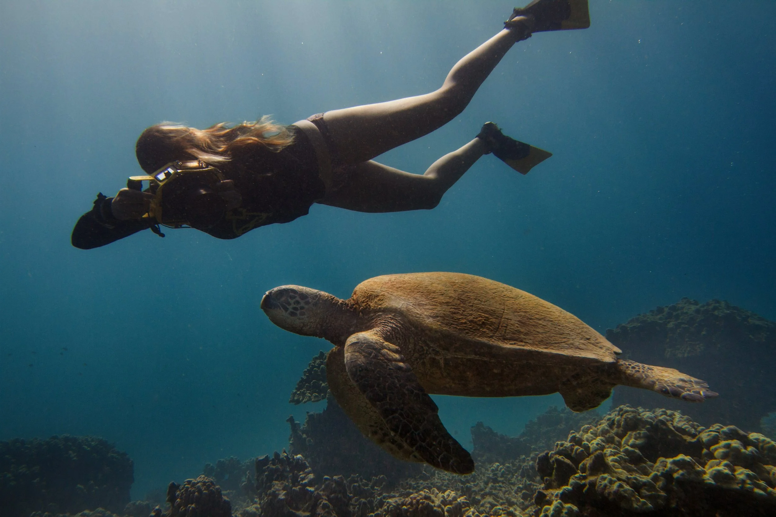 With Turtle by Asia.JPG