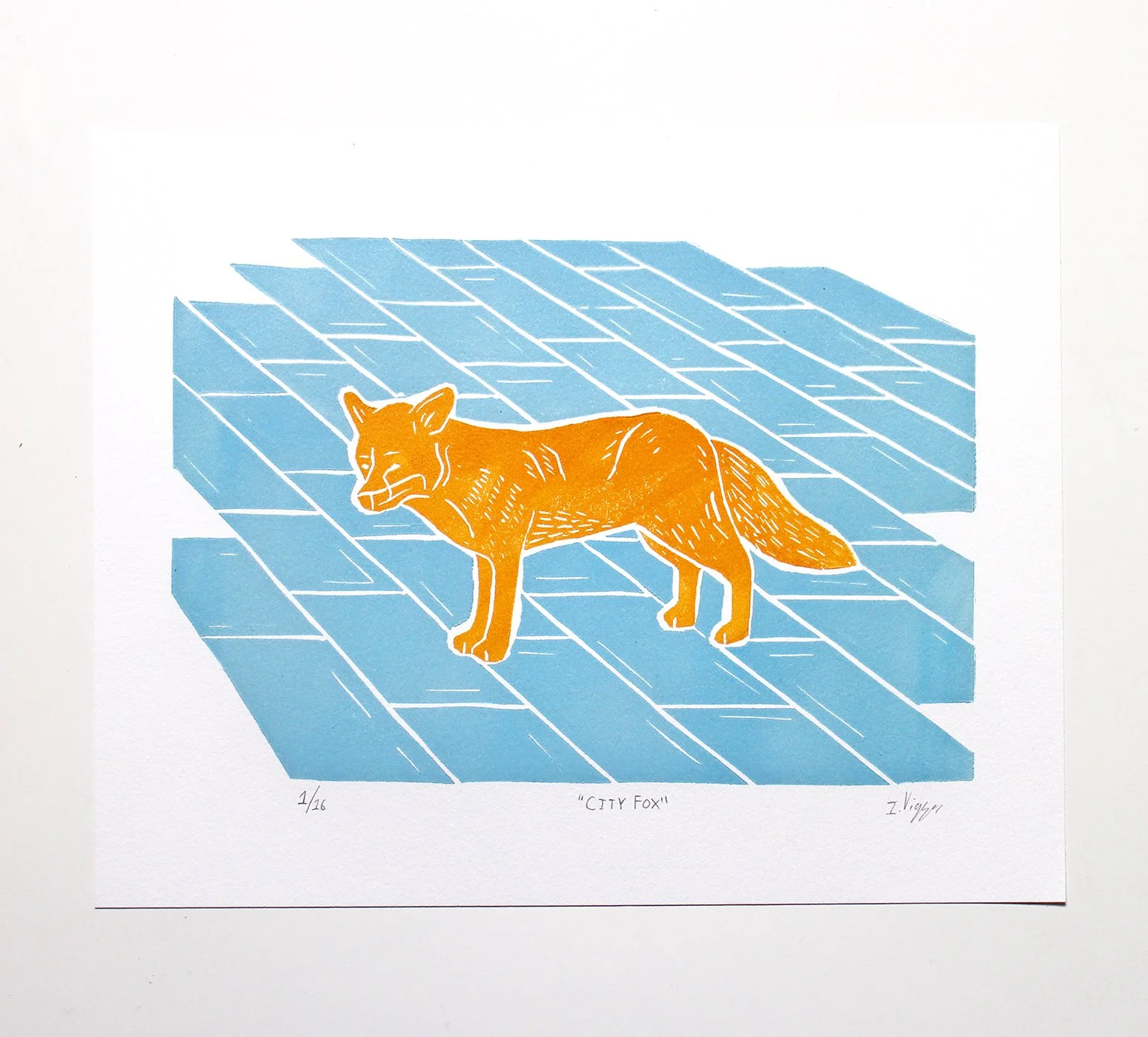 Fox 8x10 White Square 3.jpg