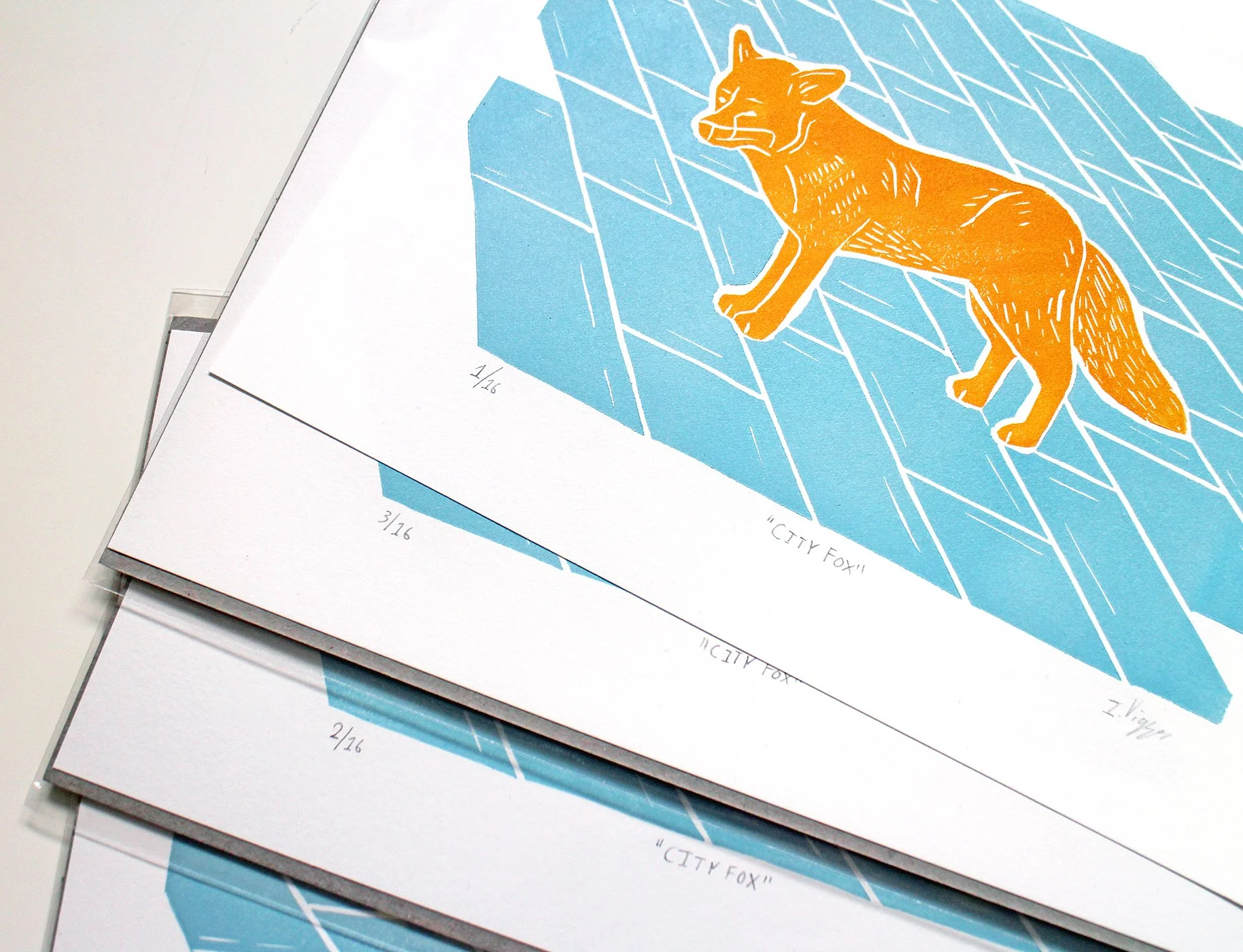 Fox 8x10 Numbered Multi.jpg