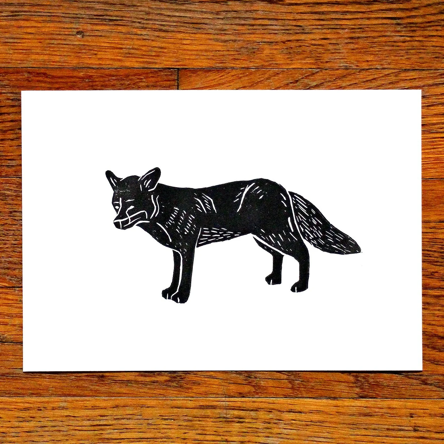 Black Fox A5 Floor.jpg