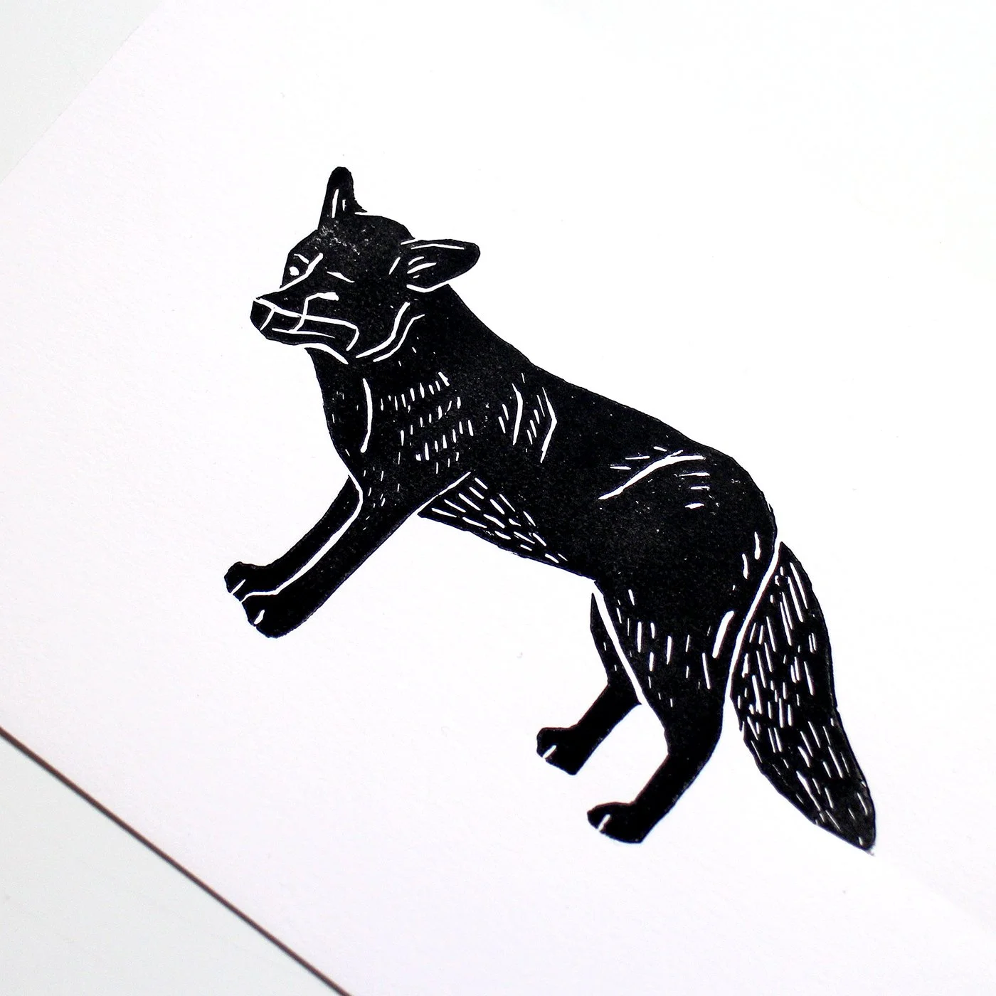 Black Fox A5 White Side.jpg