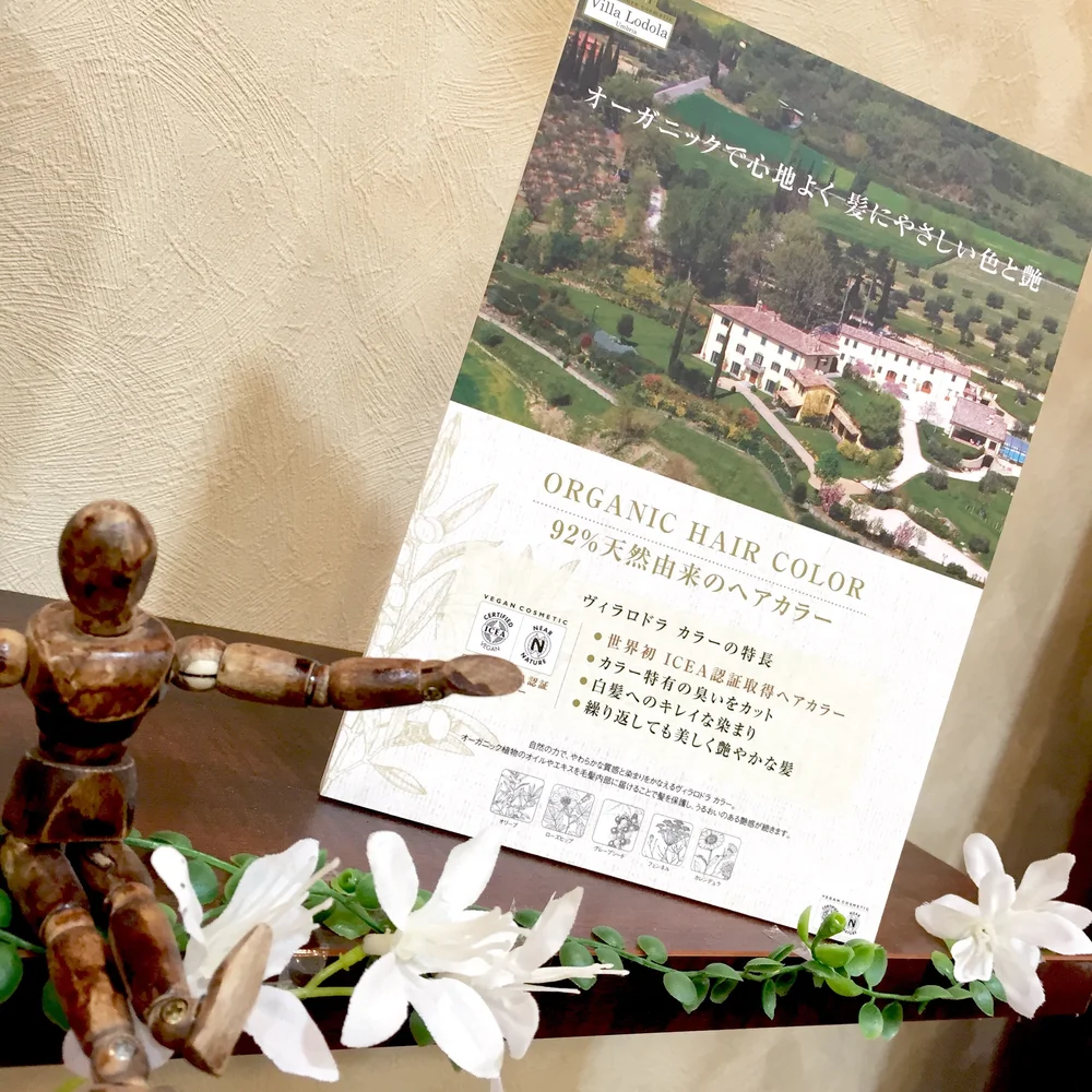 Wasabi Inc 江南市 小牧市 瀬戸市の美容室