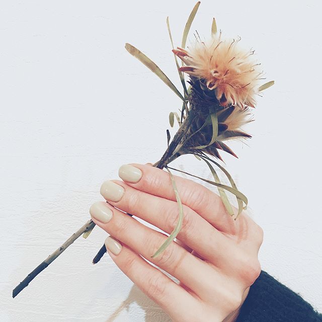 #simple #ナチュラル 
#ワンカラー と #ドライフラワー

@yuka_taniguchi_ 
見たことない、サボテン♡
ありがとうございました🌿

#サボテン #ユーホルビア 
#nails #nailsalon #nailart #ナチュラル #naildesing  #ドライフラワー #flower #flowerstagram #ネイルサロン #ネイルデザイン #instagood #fashion #シンプルネイル #dryflower
