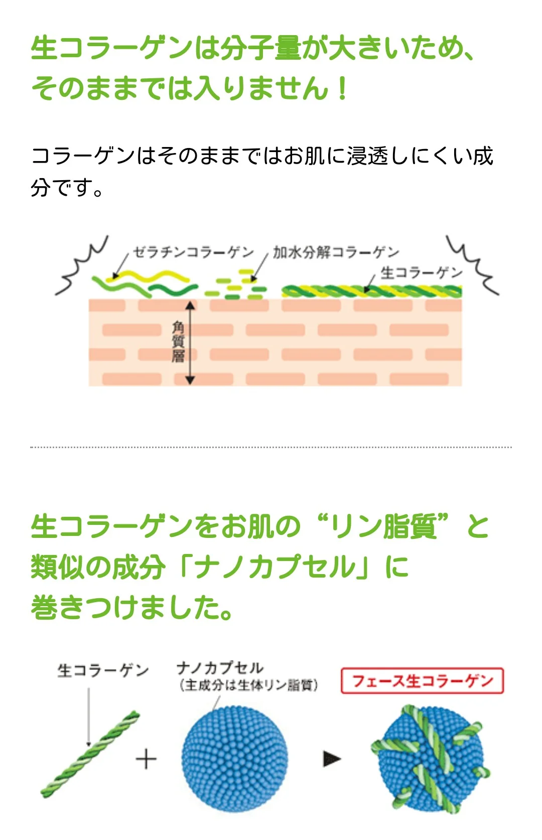 upload.jpg