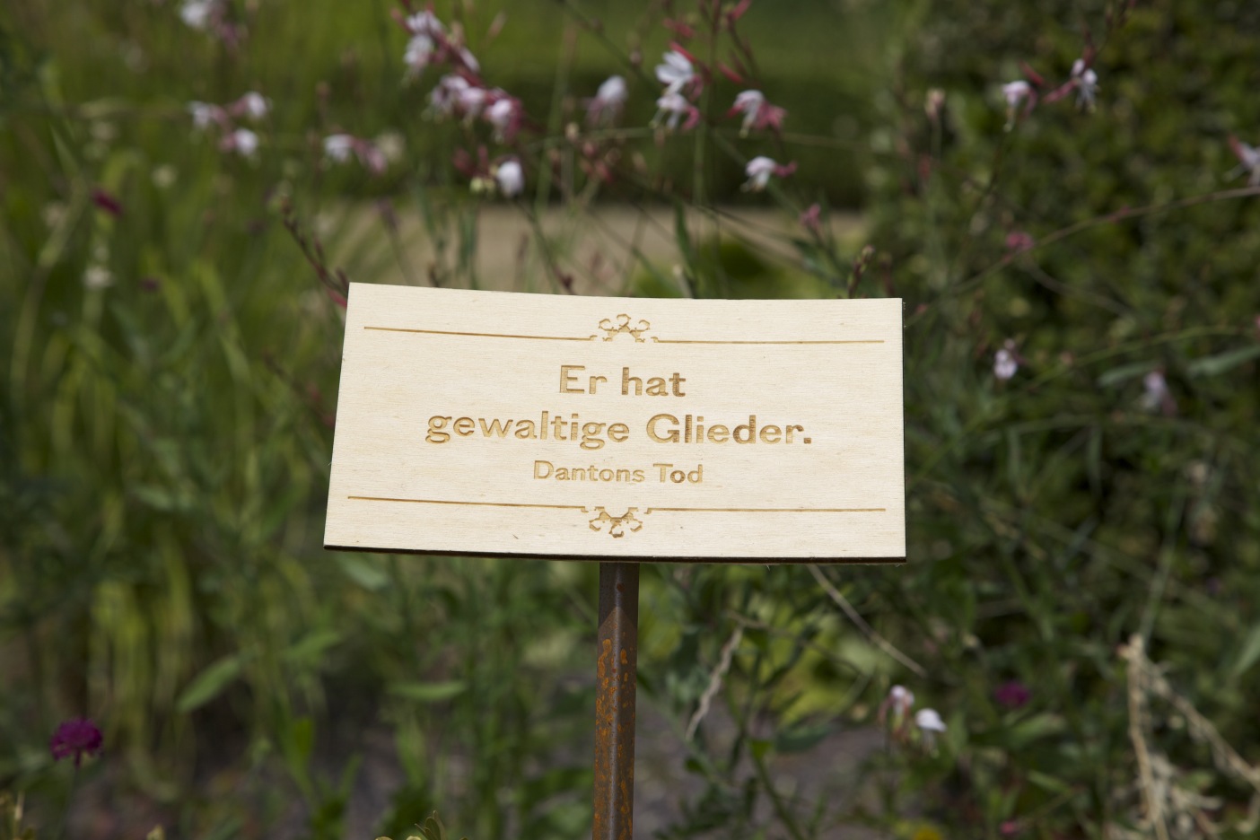 Quote Signs