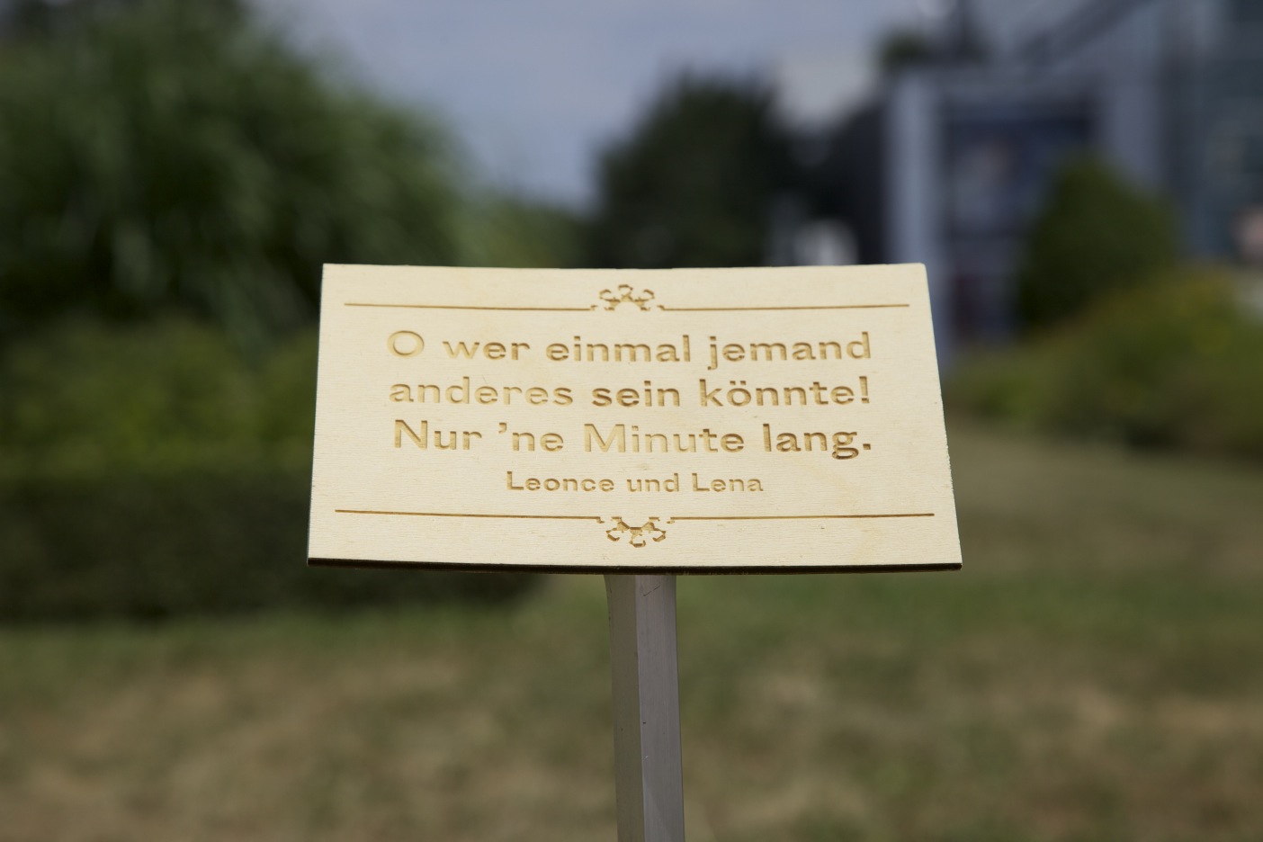 _MG_6315.jpg