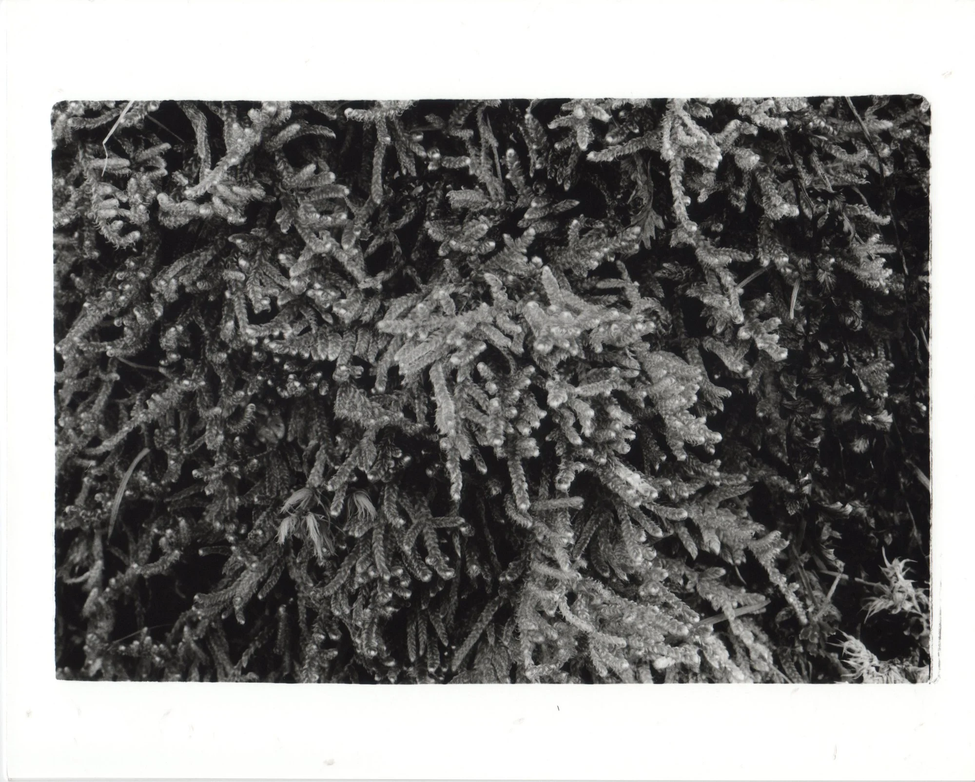 img066.jpg