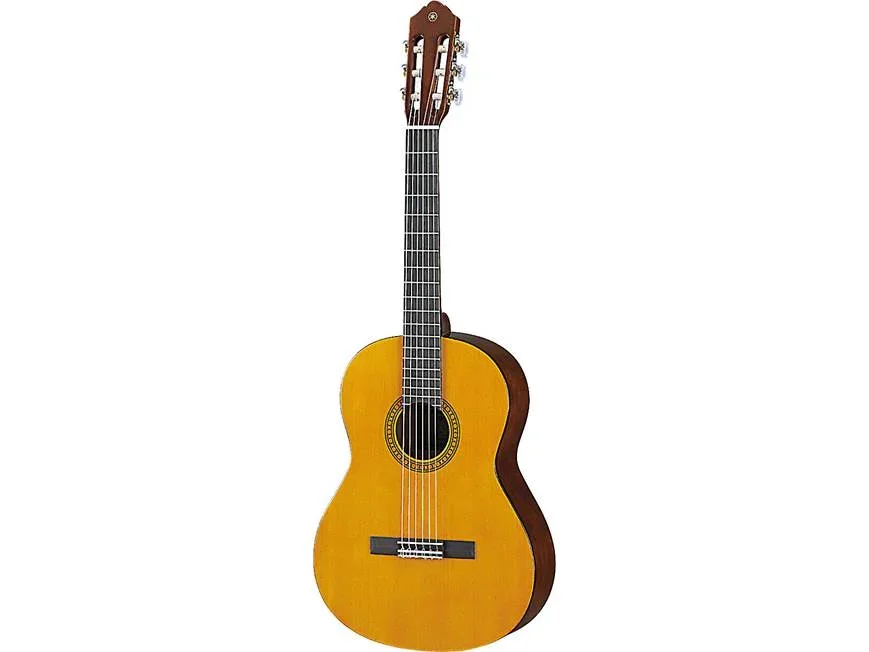 guitar pic.webp