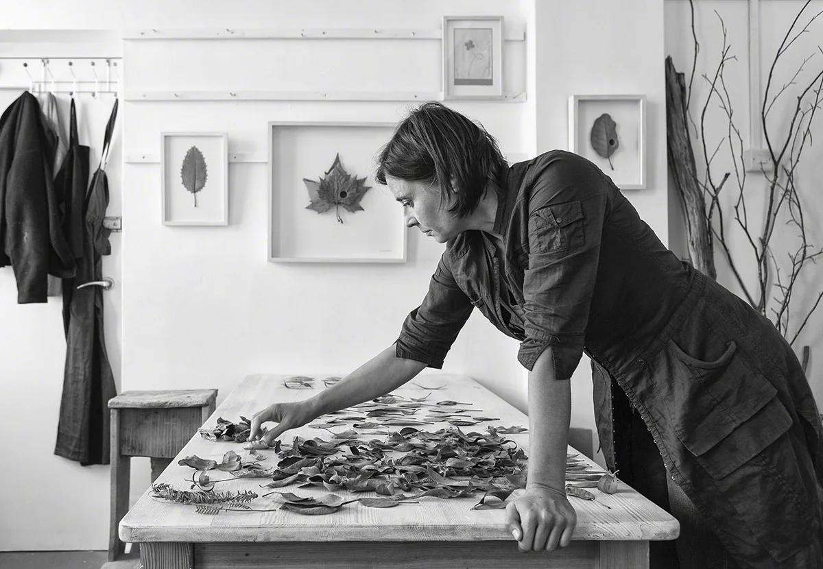 Susanna Bauer