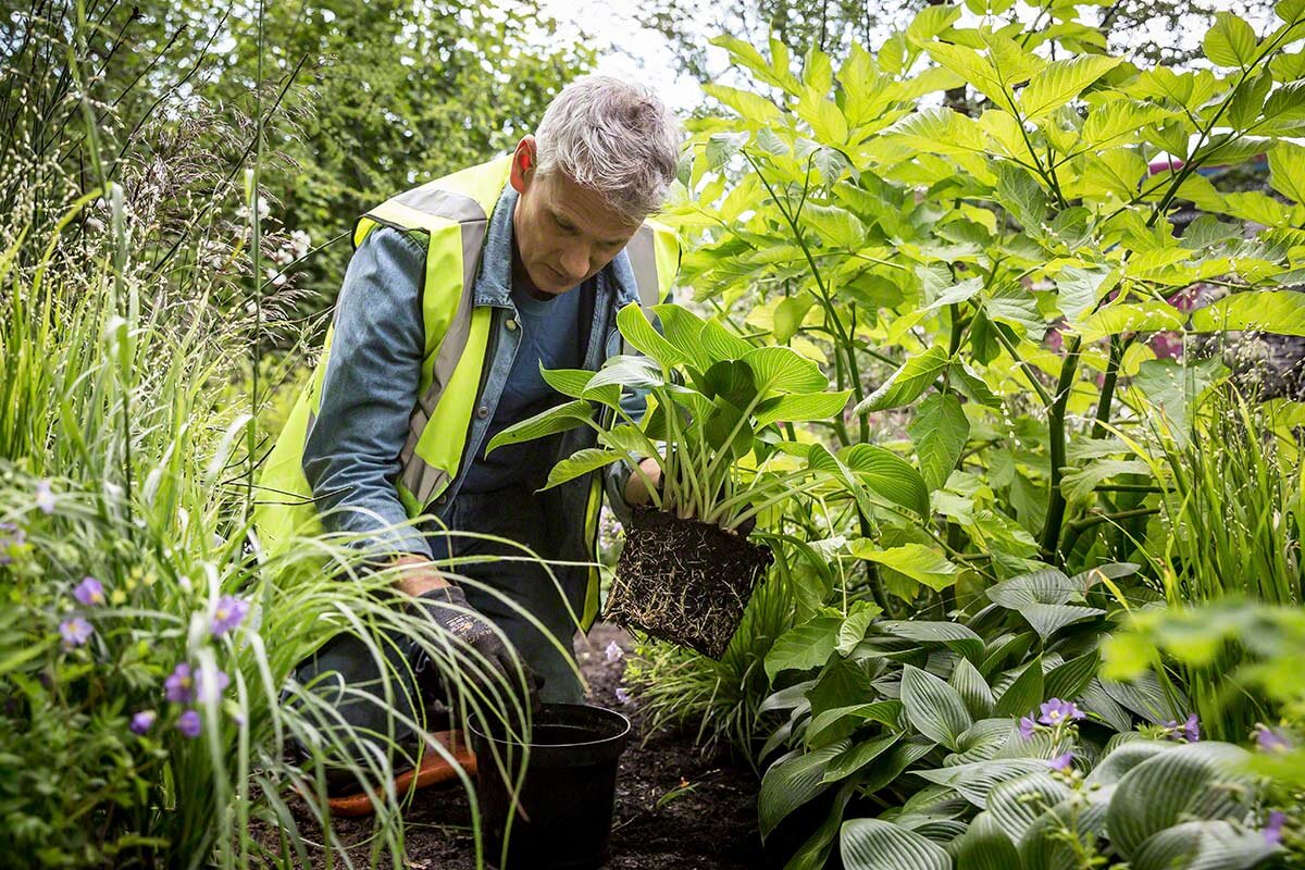 RHS Chelsea Flower Show 