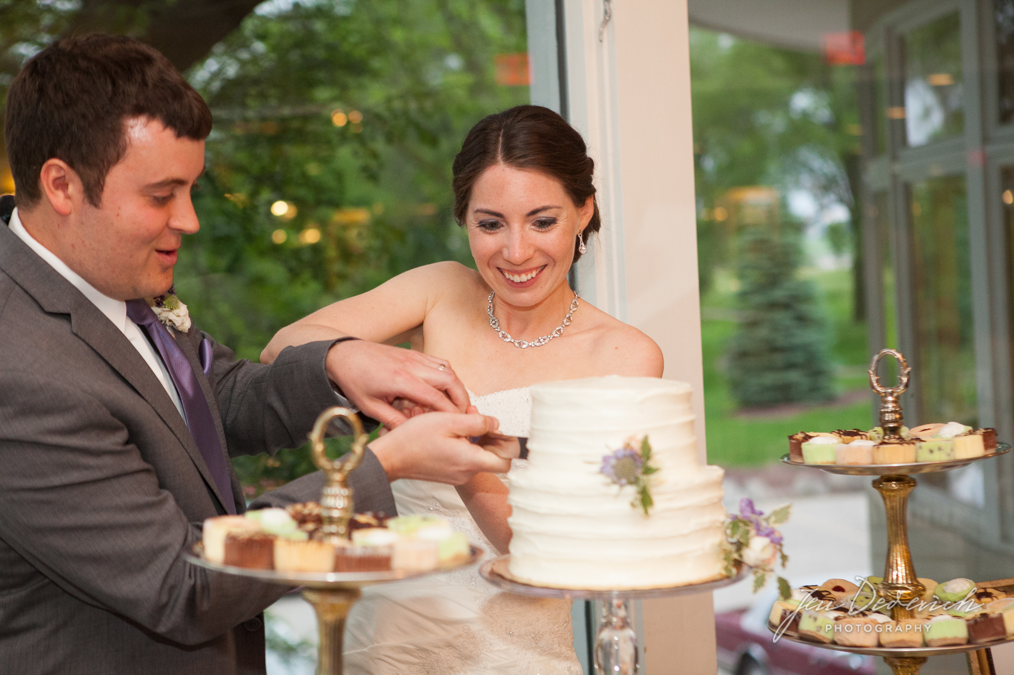 cake cutting madison wisconsin