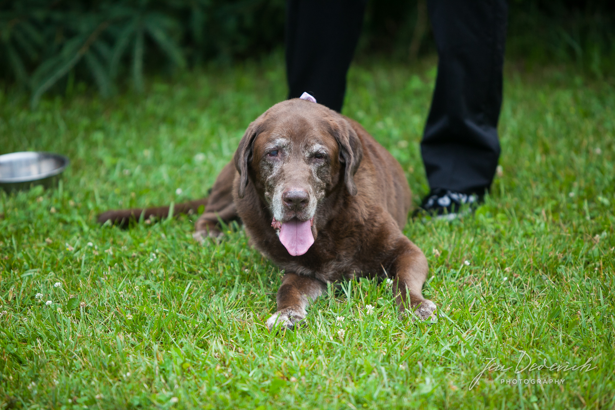 Madison-Wisconsin-backyard-wedding_020.jpg