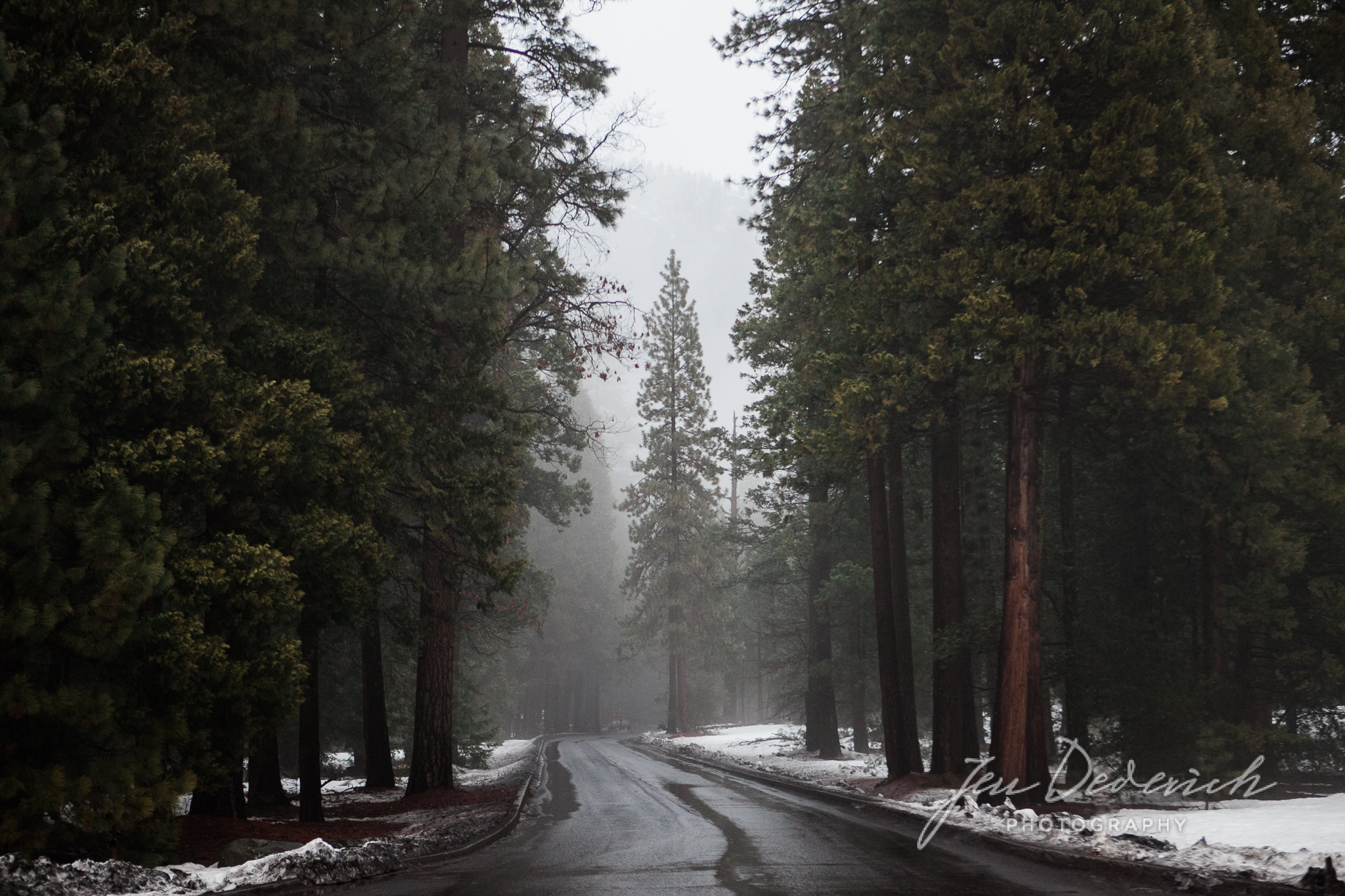 Yosemite_California_Jen_Dederich_008.jpg