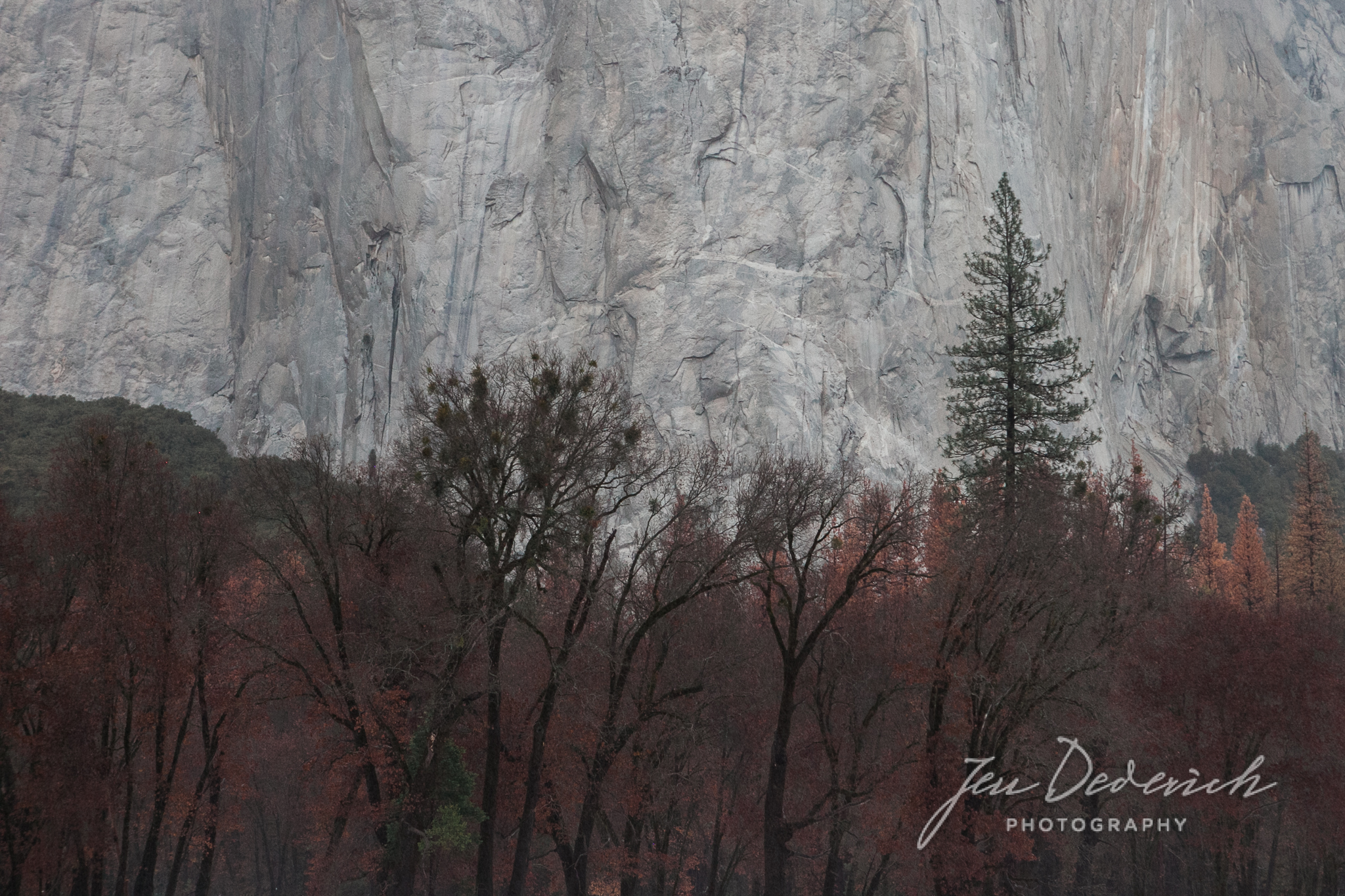 Yosemite_California_Jen_Dederich_011.jpg