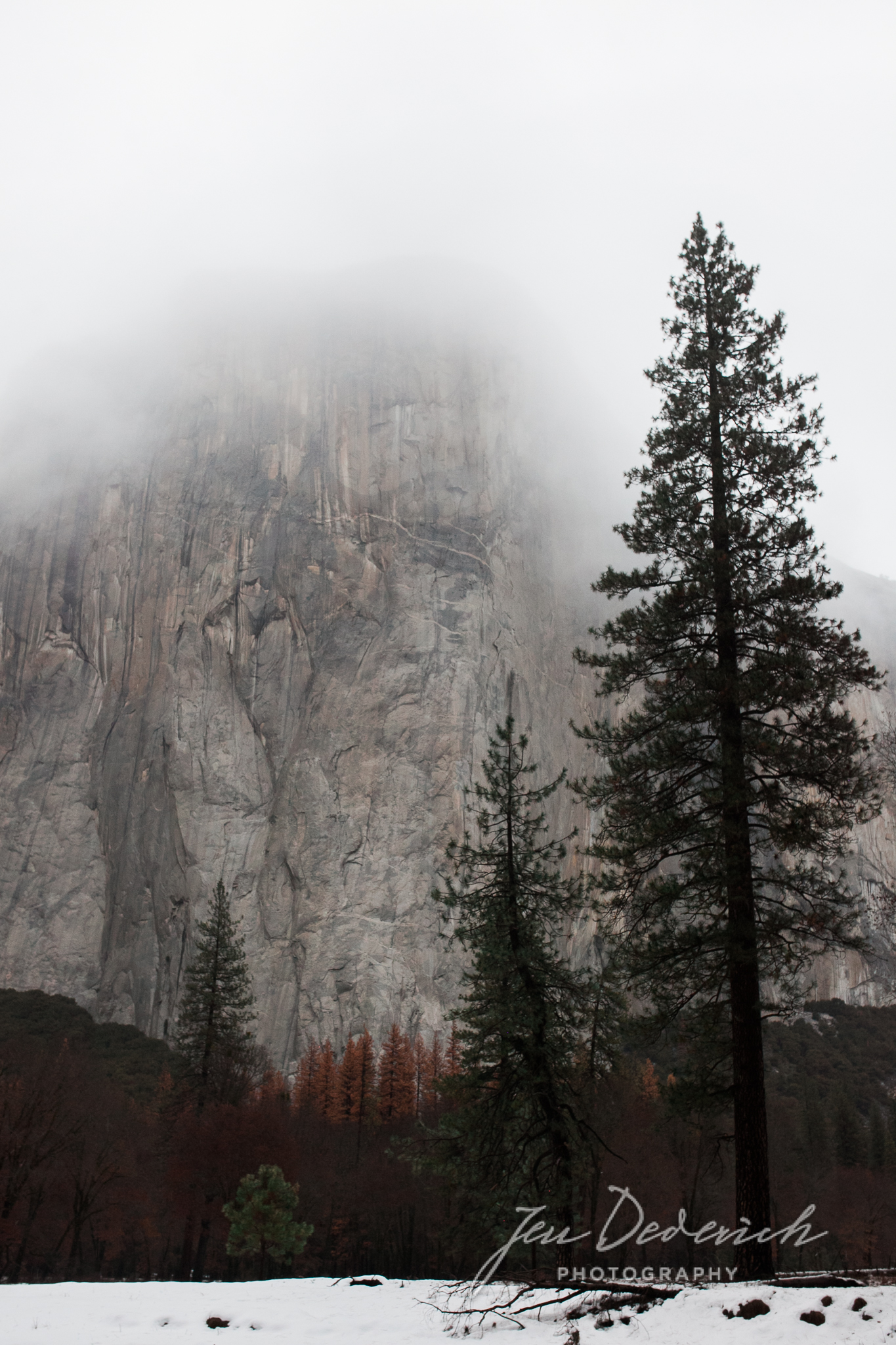 Yosemite_California_Jen_Dederich_012.jpg