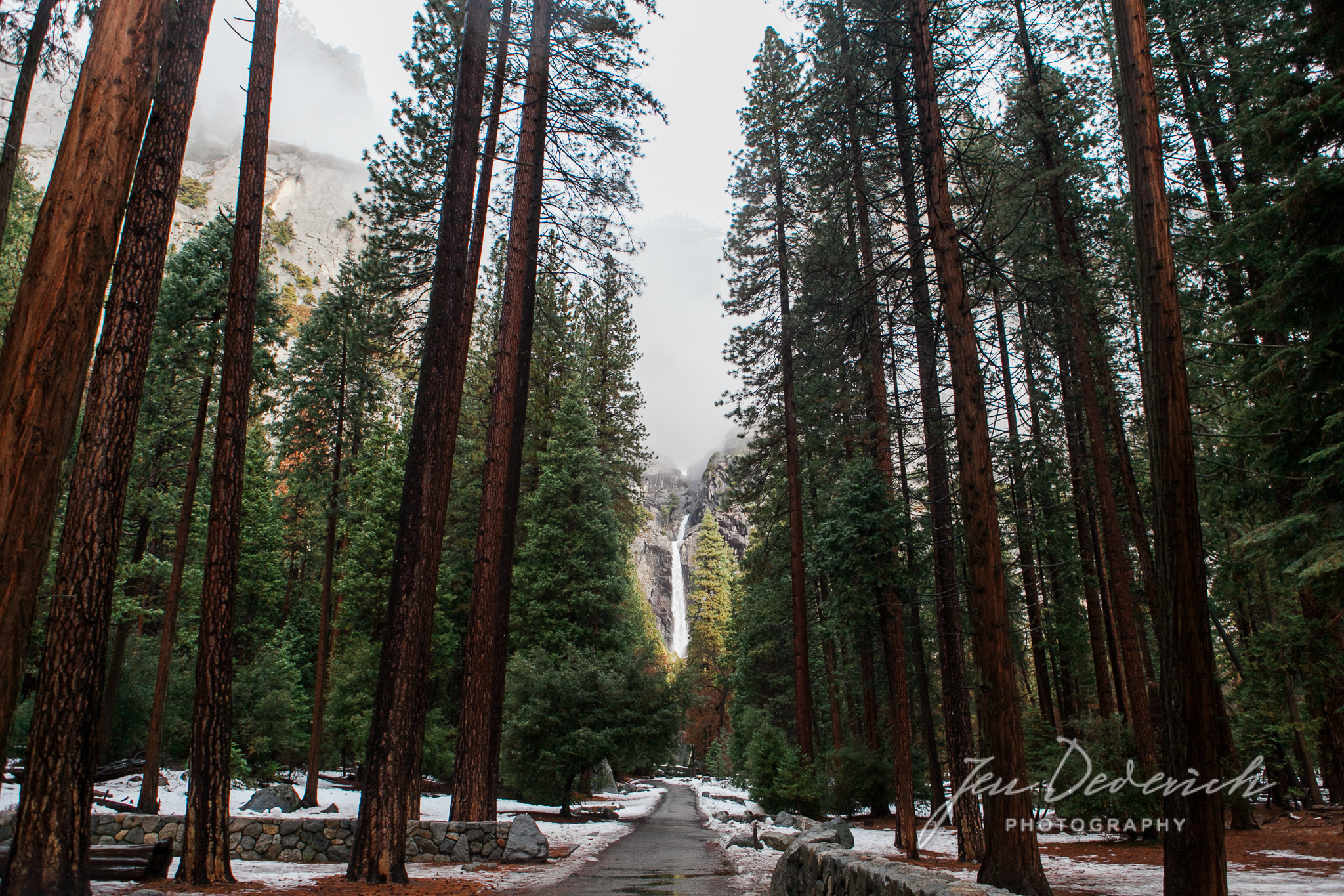 Yosemite_California_Jen_Dederich_018.jpg