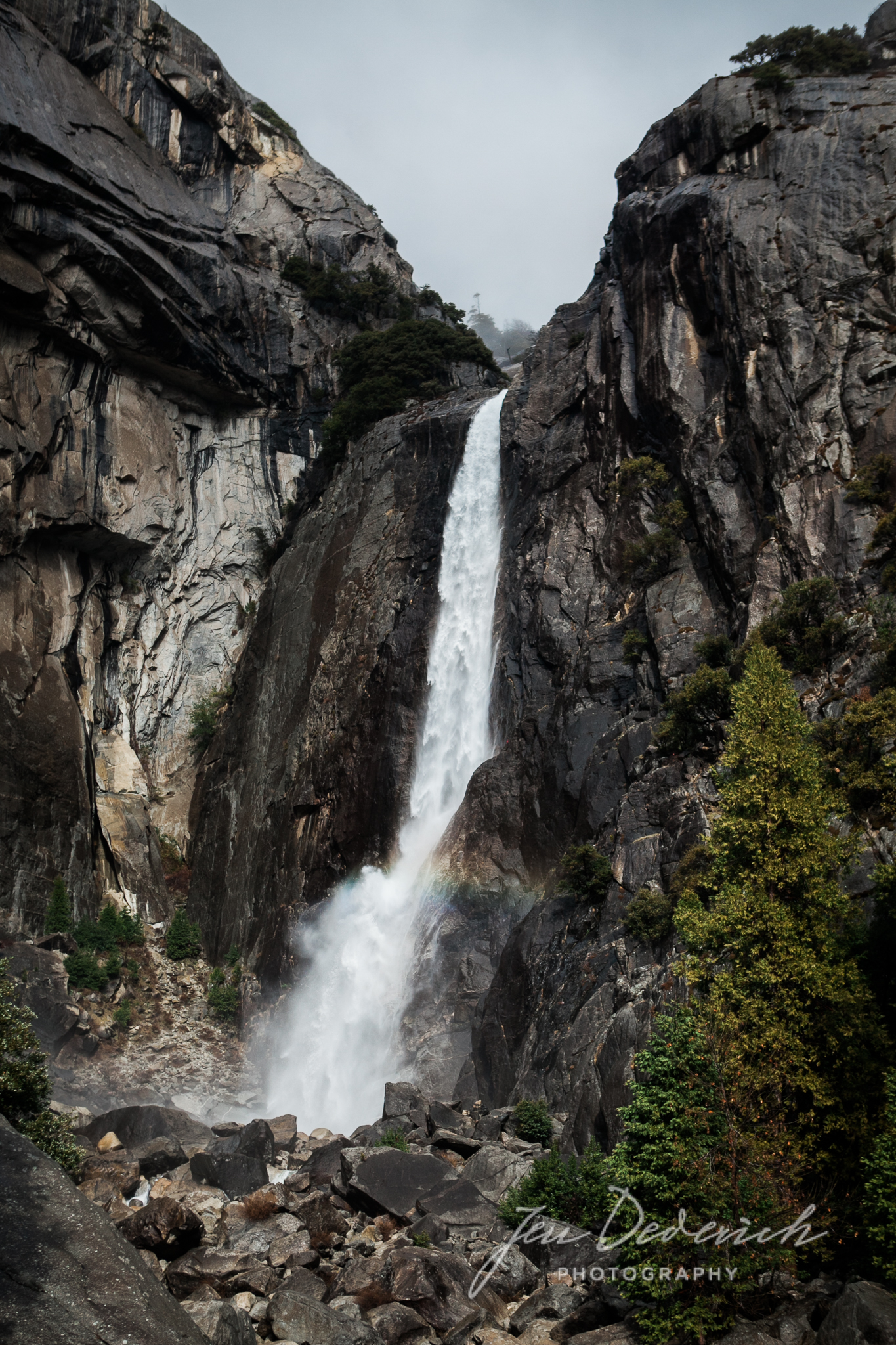 Yosemite_California_Jen_Dederich_020.jpg