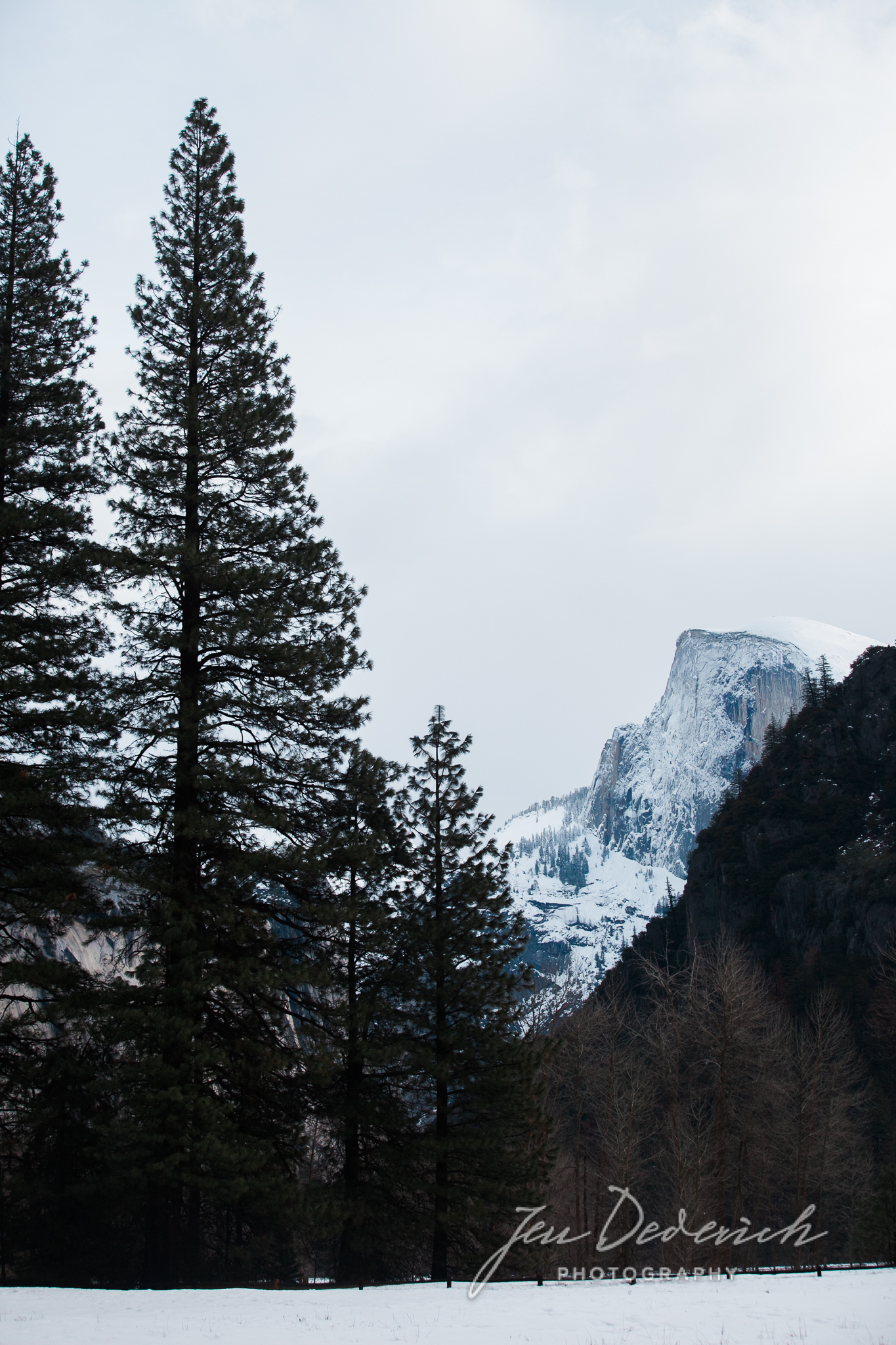 Yosemite_California_Jen_Dederich_021.jpg