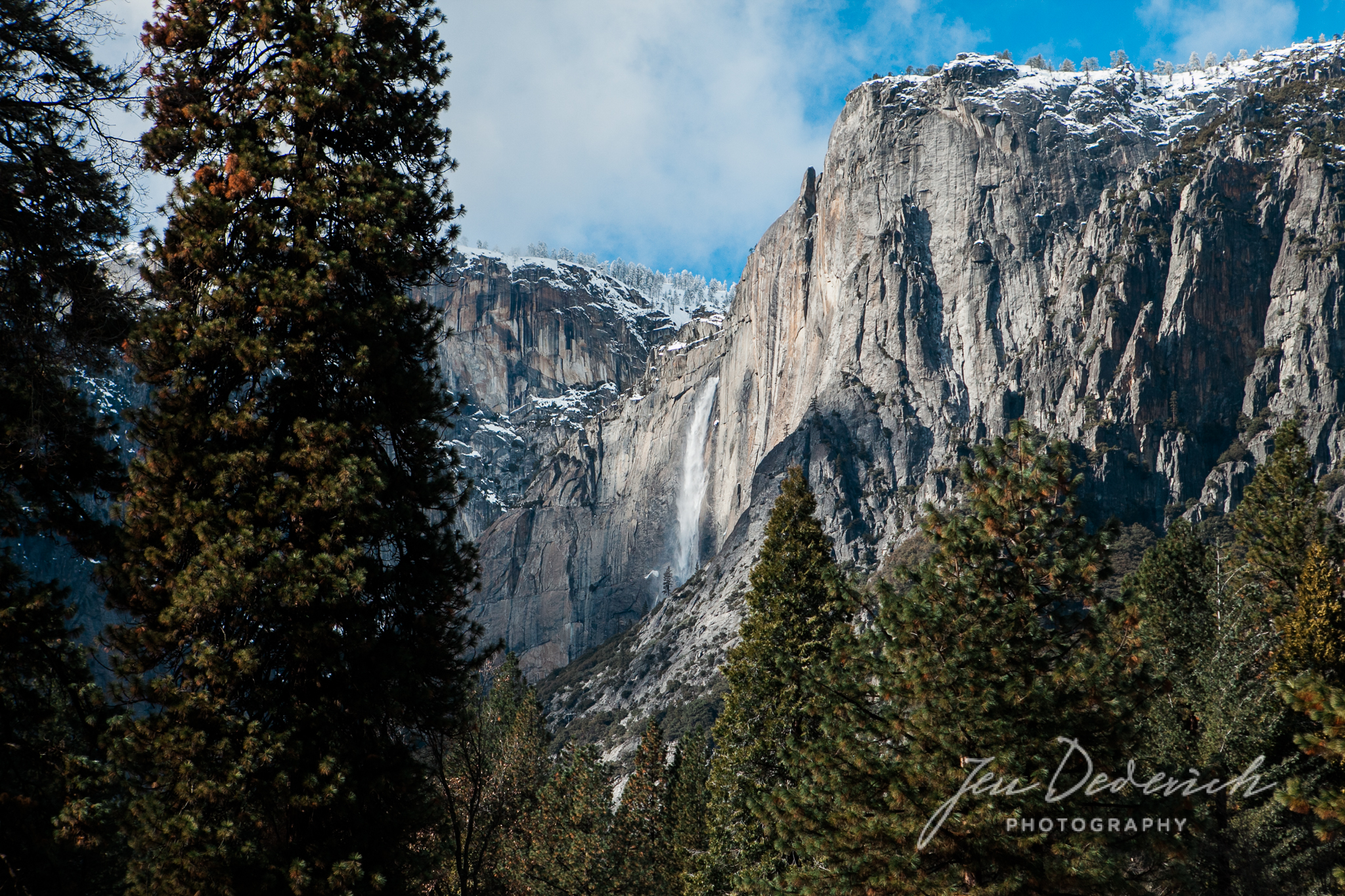 Yosemite_California_Jen_Dederich_031.jpg