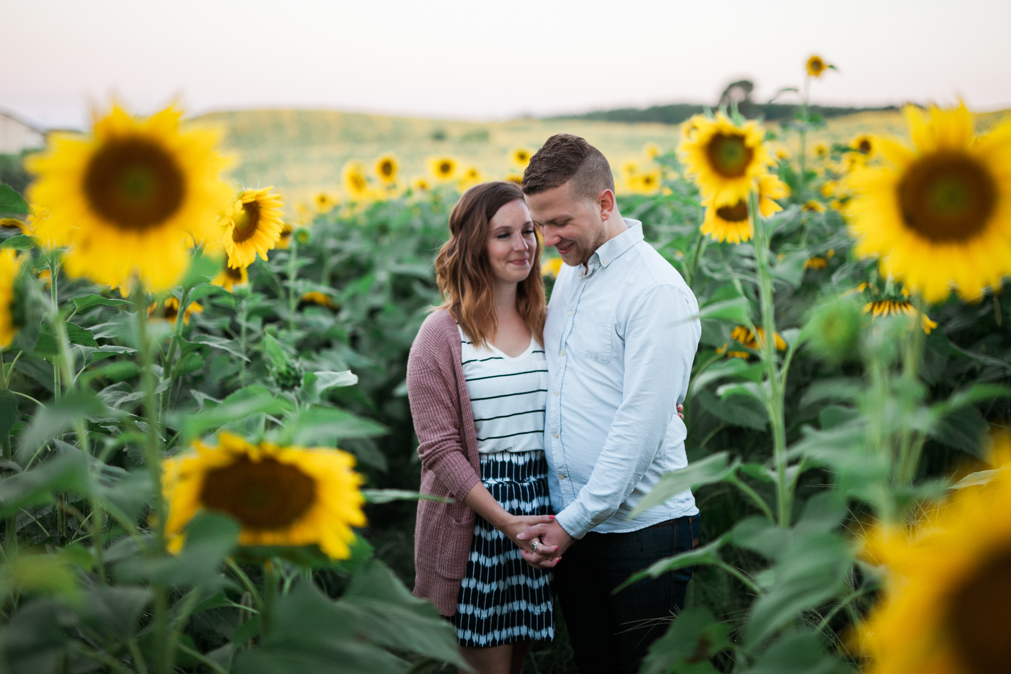 Pope-Farms-Sunflower-Engagement-Session-Madison-Wisconsin_001.jpg