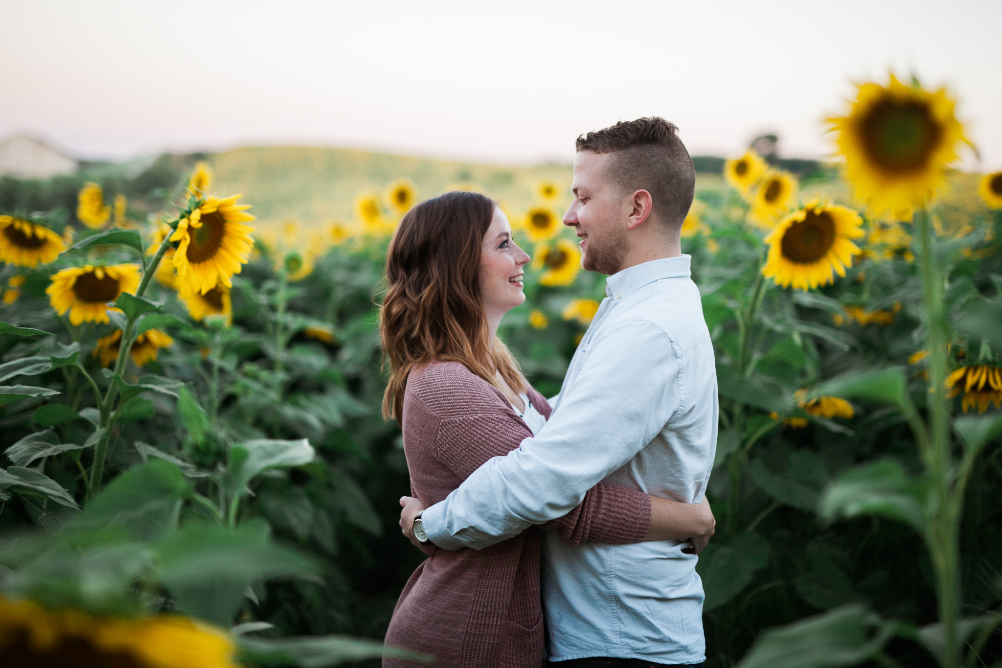 Pope-Farms-Sunflower-Engagement-Session-Madison-Wisconsin_005.jpg