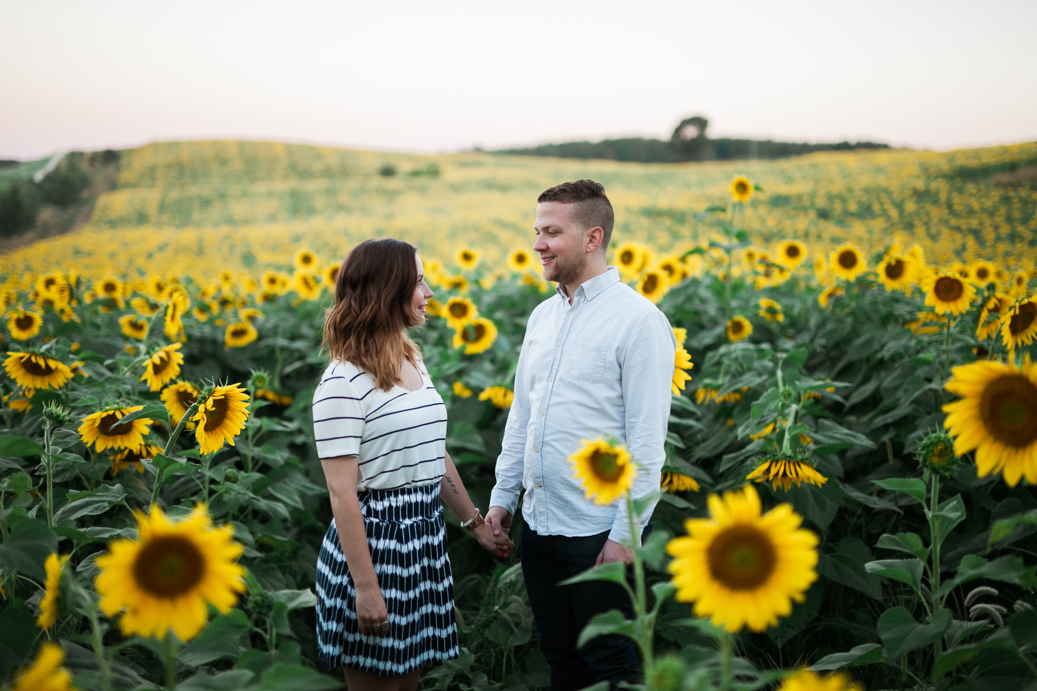 Pope-Farms-Sunflower-Engagement-Session-Madison-Wisconsin_008.jpg