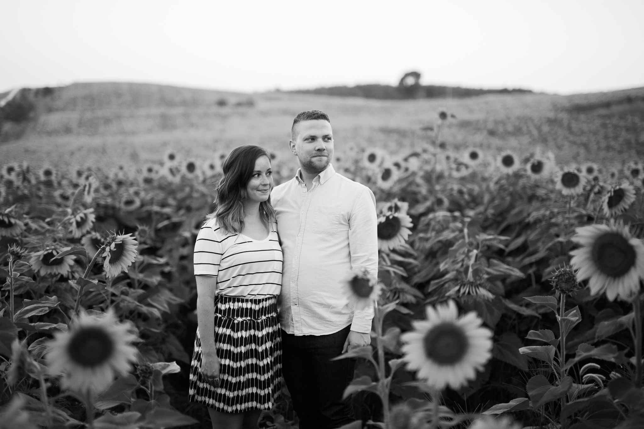 Pope-Farms-Sunflower-Engagement-Session-Madison-Wisconsin_009.jpg