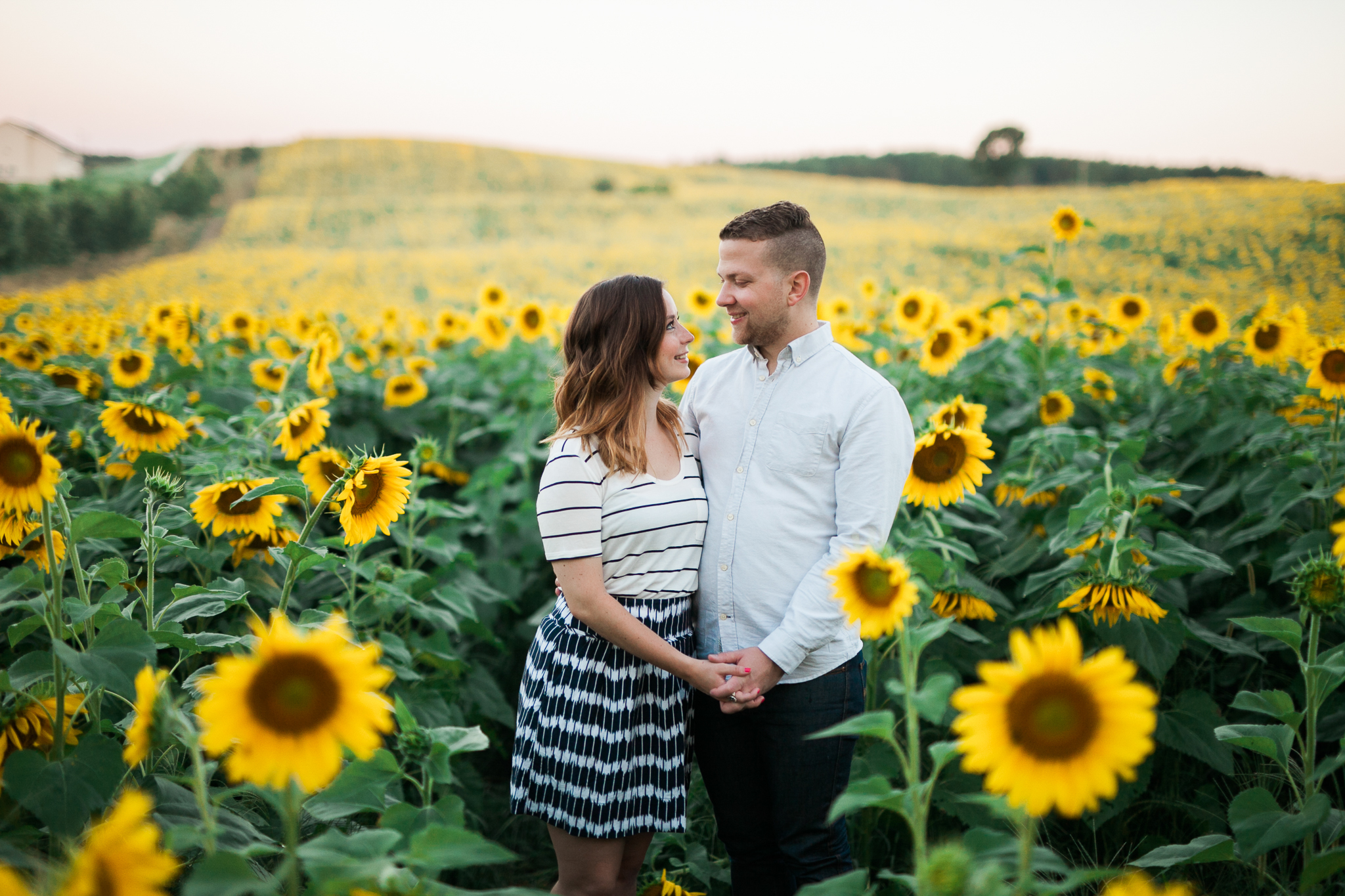 Pope-Farms-Sunflower-Engagement-Session-Madison-Wisconsin_010.jpg