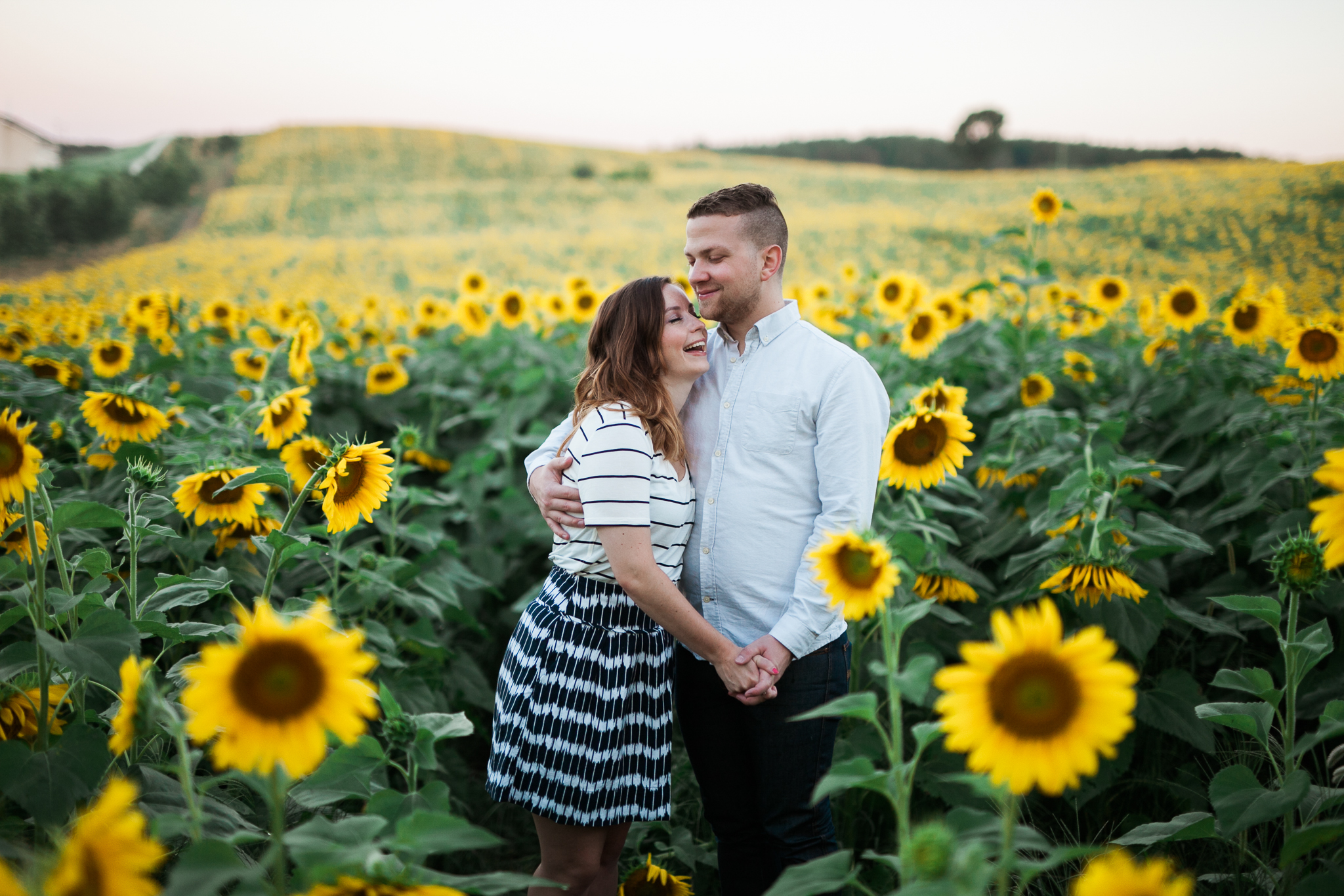 Pope-Farms-Sunflower-Engagement-Session-Madison-Wisconsin_011.jpg