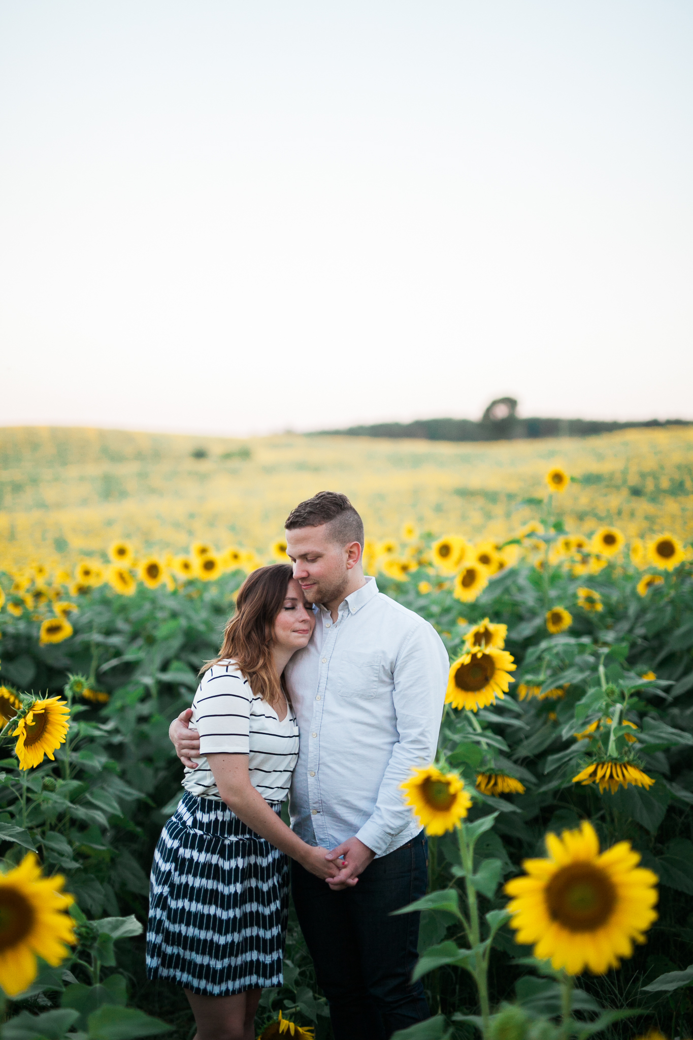 Pope-Farms-Sunflower-Engagement-Session-Madison-Wisconsin_013.jpg