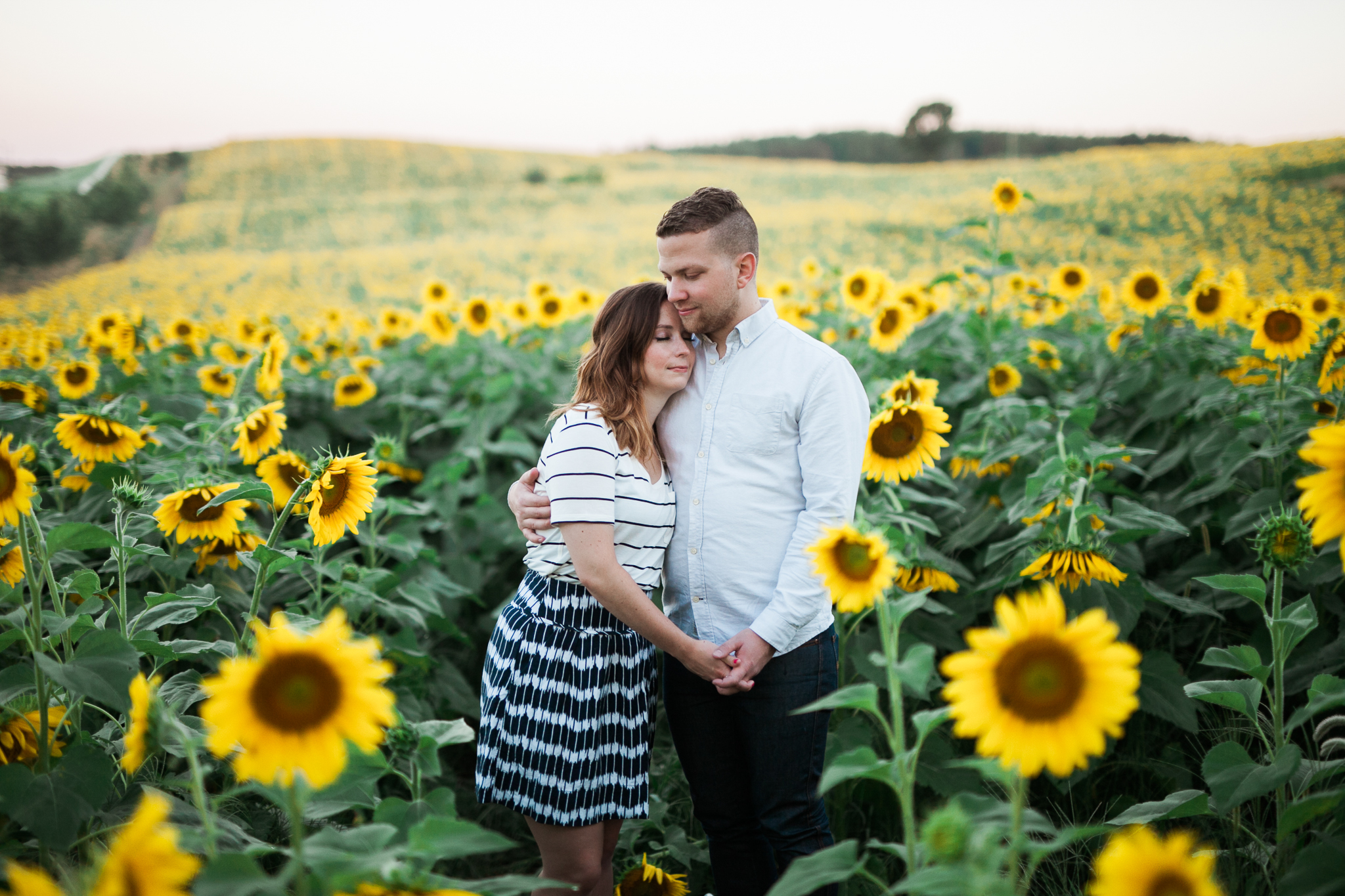 Pope-Farms-Sunflower-Engagement-Session-Madison-Wisconsin_014.jpg
