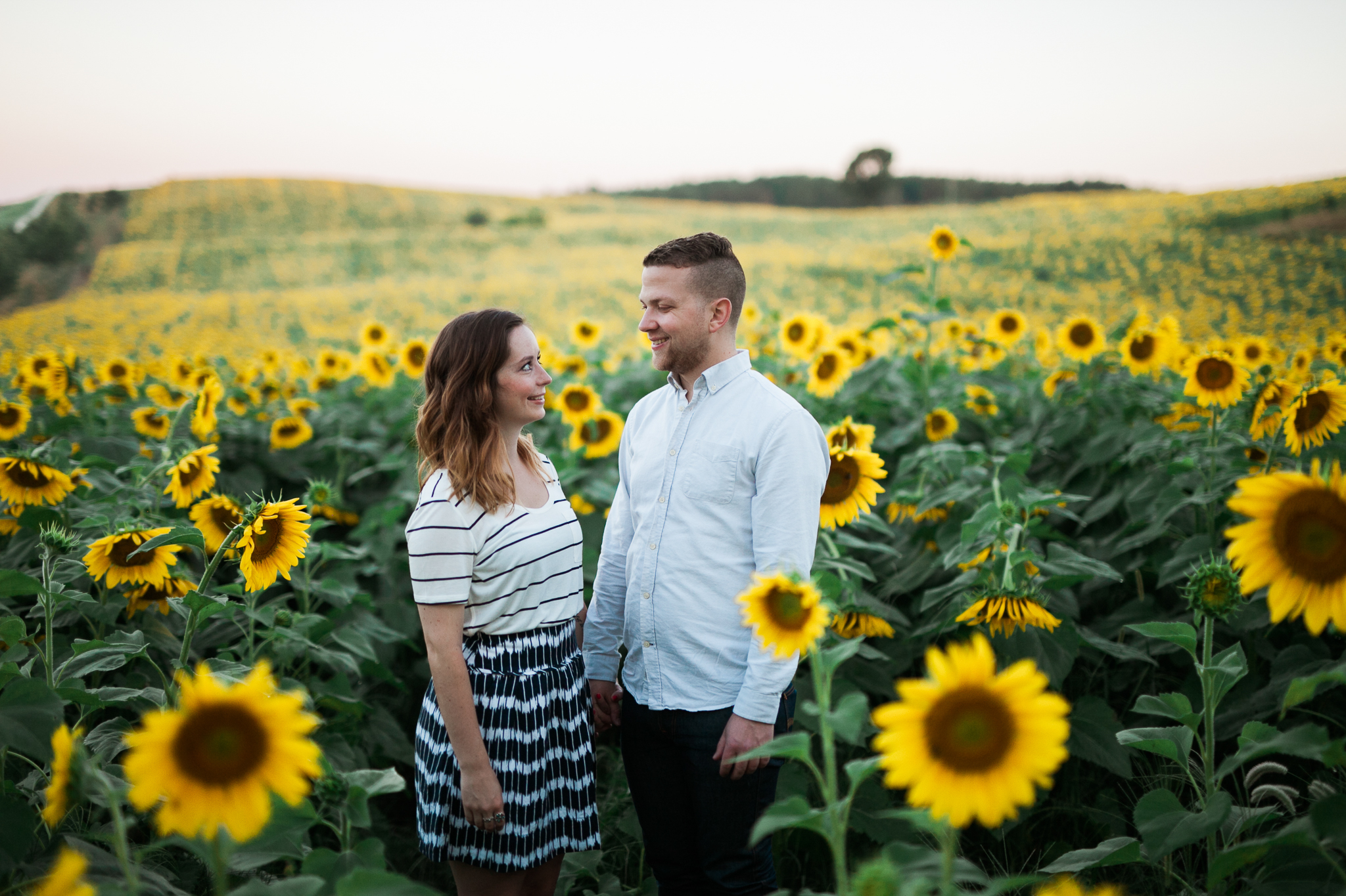 Pope-Farms-Sunflower-Engagement-Session-Madison-Wisconsin_015.jpg
