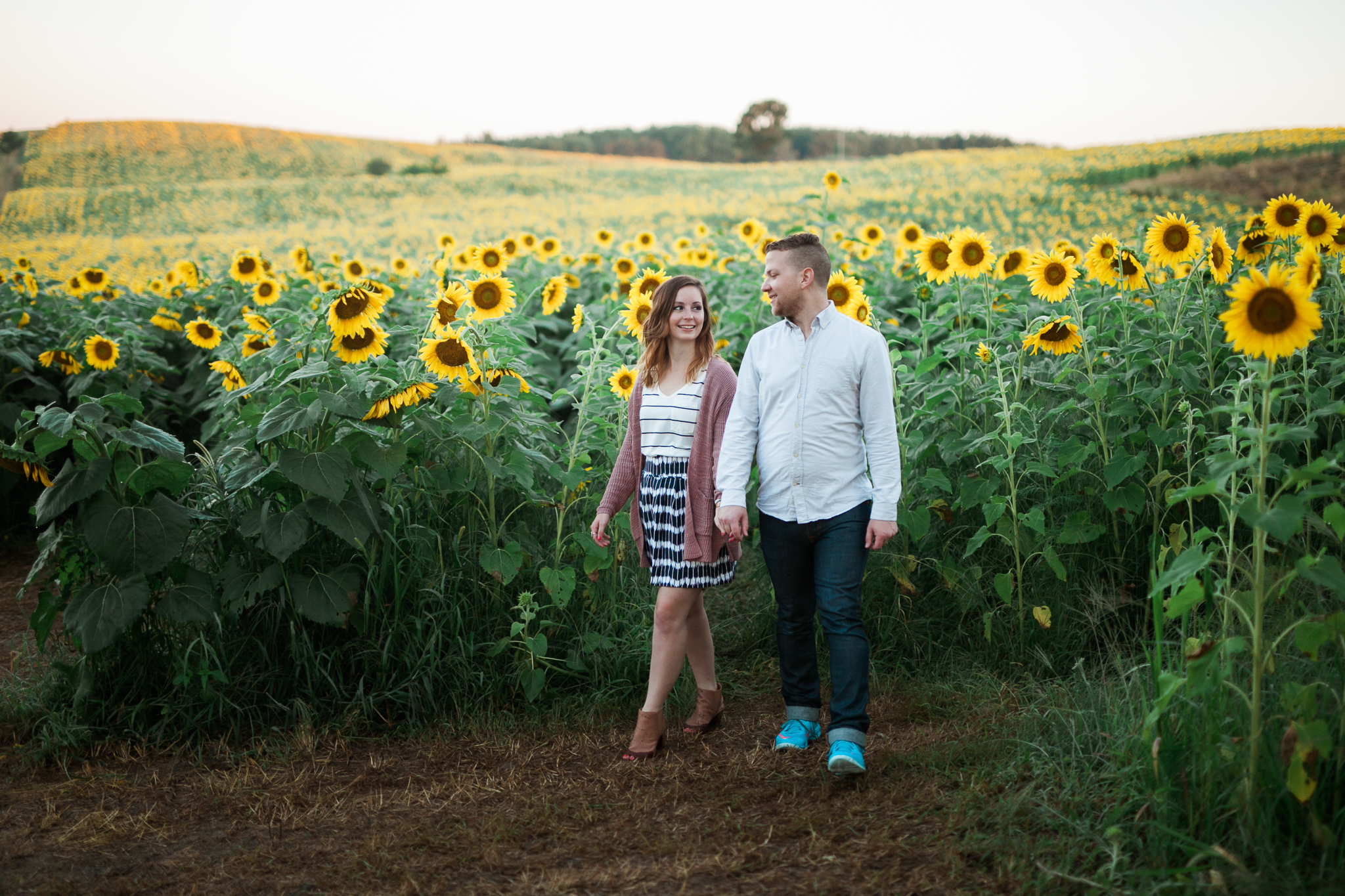 Pope-Farms-Sunflower-Engagement-Session-Madison-Wisconsin_022.jpg