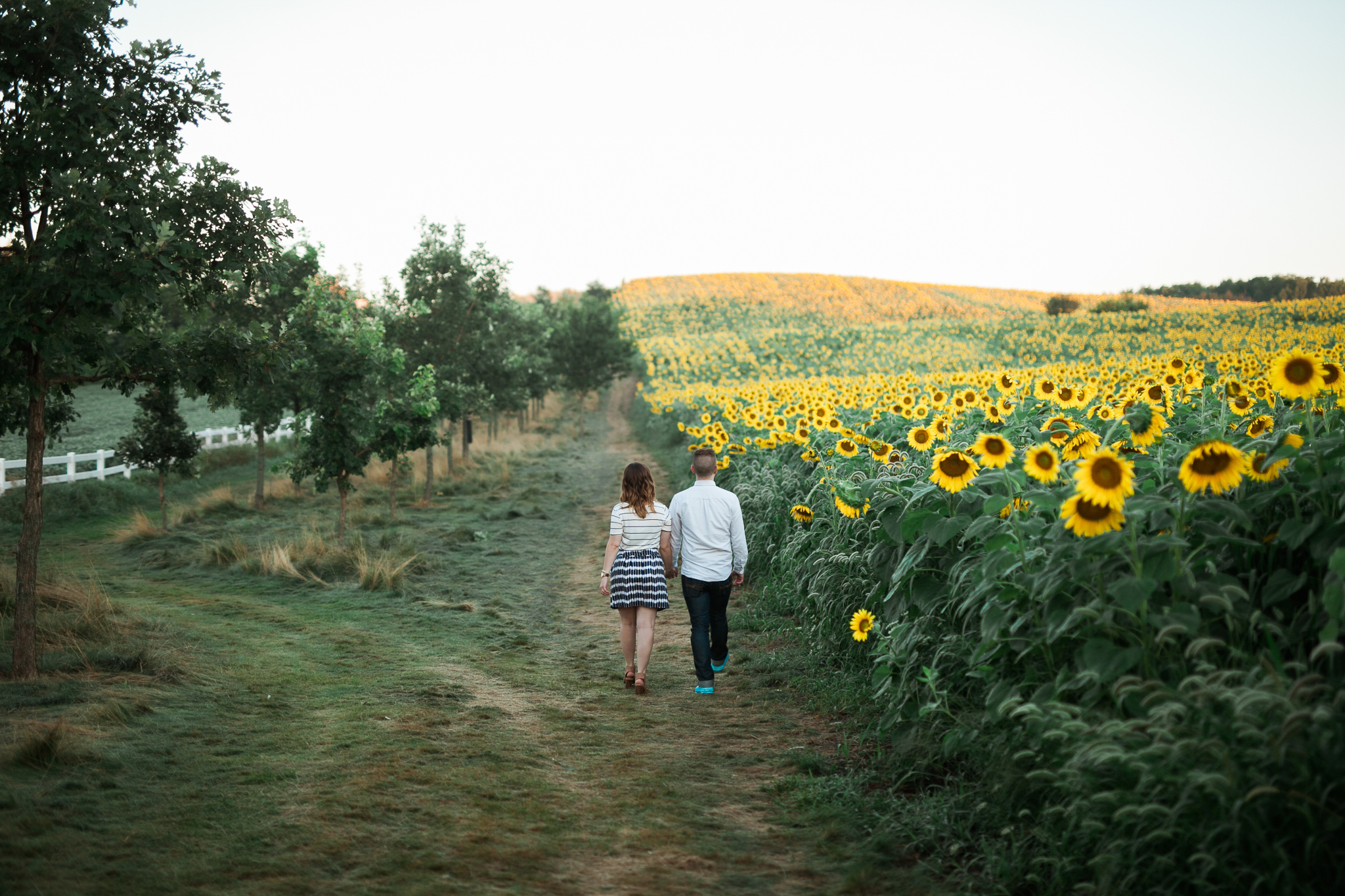 Pope-Farms-Sunflower-Engagement-Session-Madison-Wisconsin_030.jpg