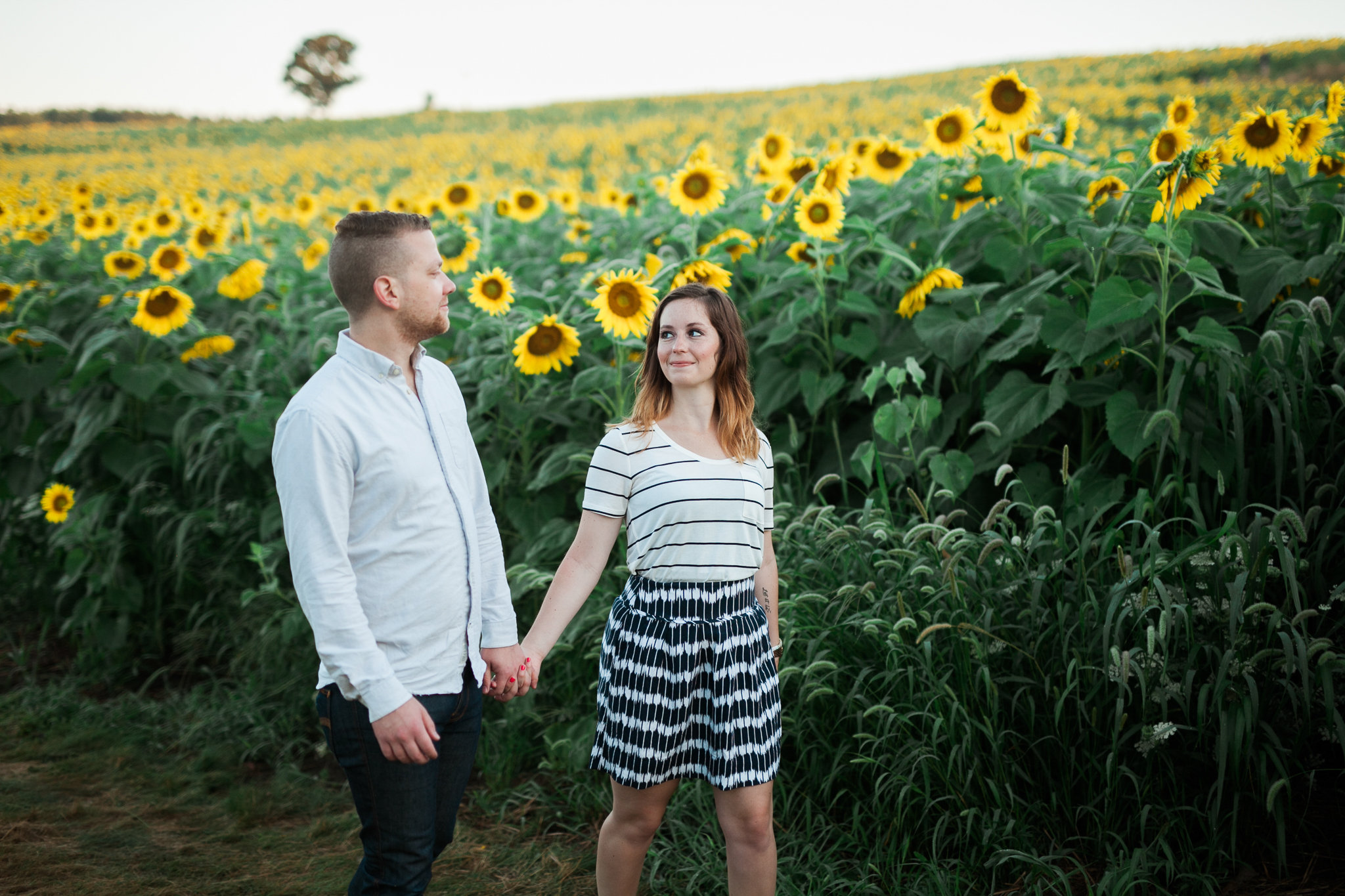 Pope-Farms-Sunflower-Engagement-Session-Madison-Wisconsin_031.jpg