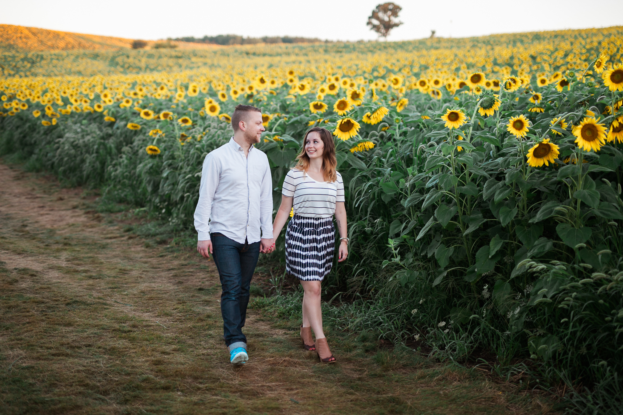 Pope-Farms-Sunflower-Engagement-Session-Madison-Wisconsin_032.jpg