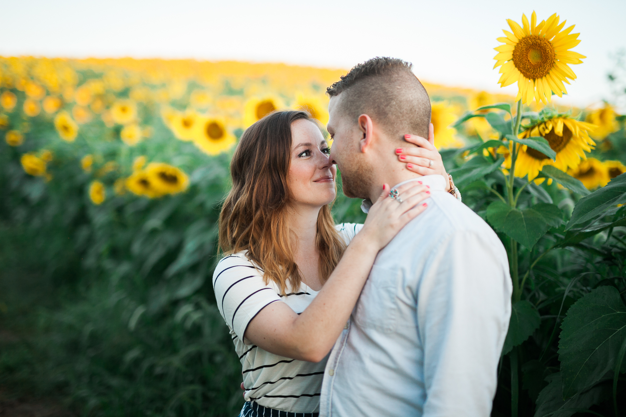 Pope-Farms-Sunflower-Engagement-Session-Madison-Wisconsin_034.jpg