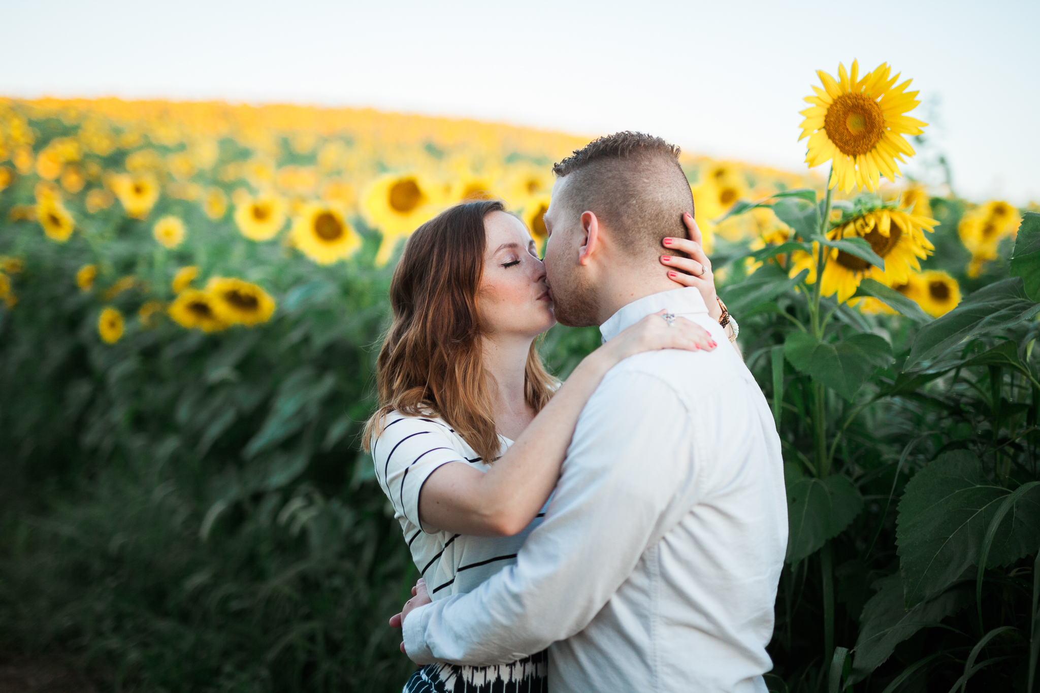Pope-Farms-Sunflower-Engagement-Session-Madison-Wisconsin_035.jpg