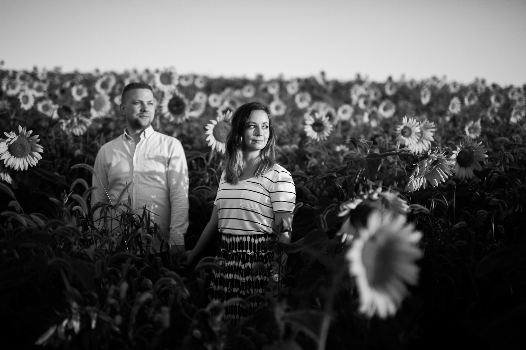 Pope-Farms-Sunflower-Engagement-Session-Madison-Wisconsin_037.jpg